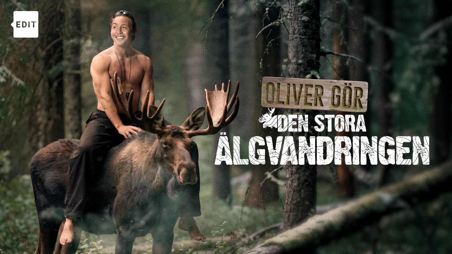 Oliver gör den stora älgvandringen