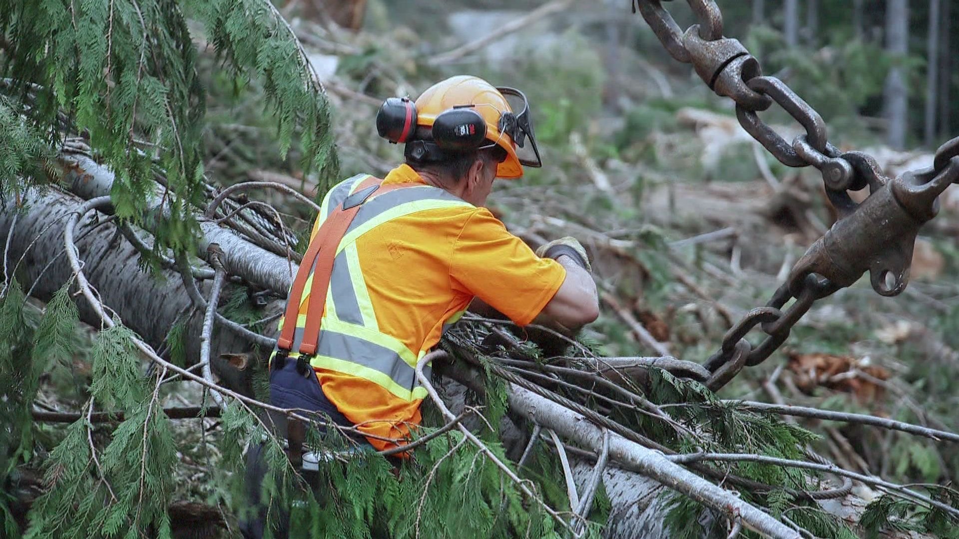 2. Skakar, skramlar, rullar