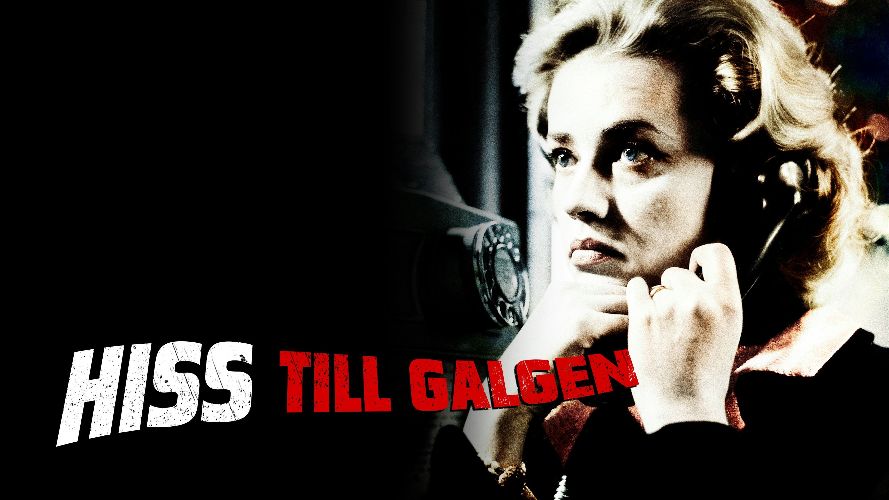 Hiss till galgen