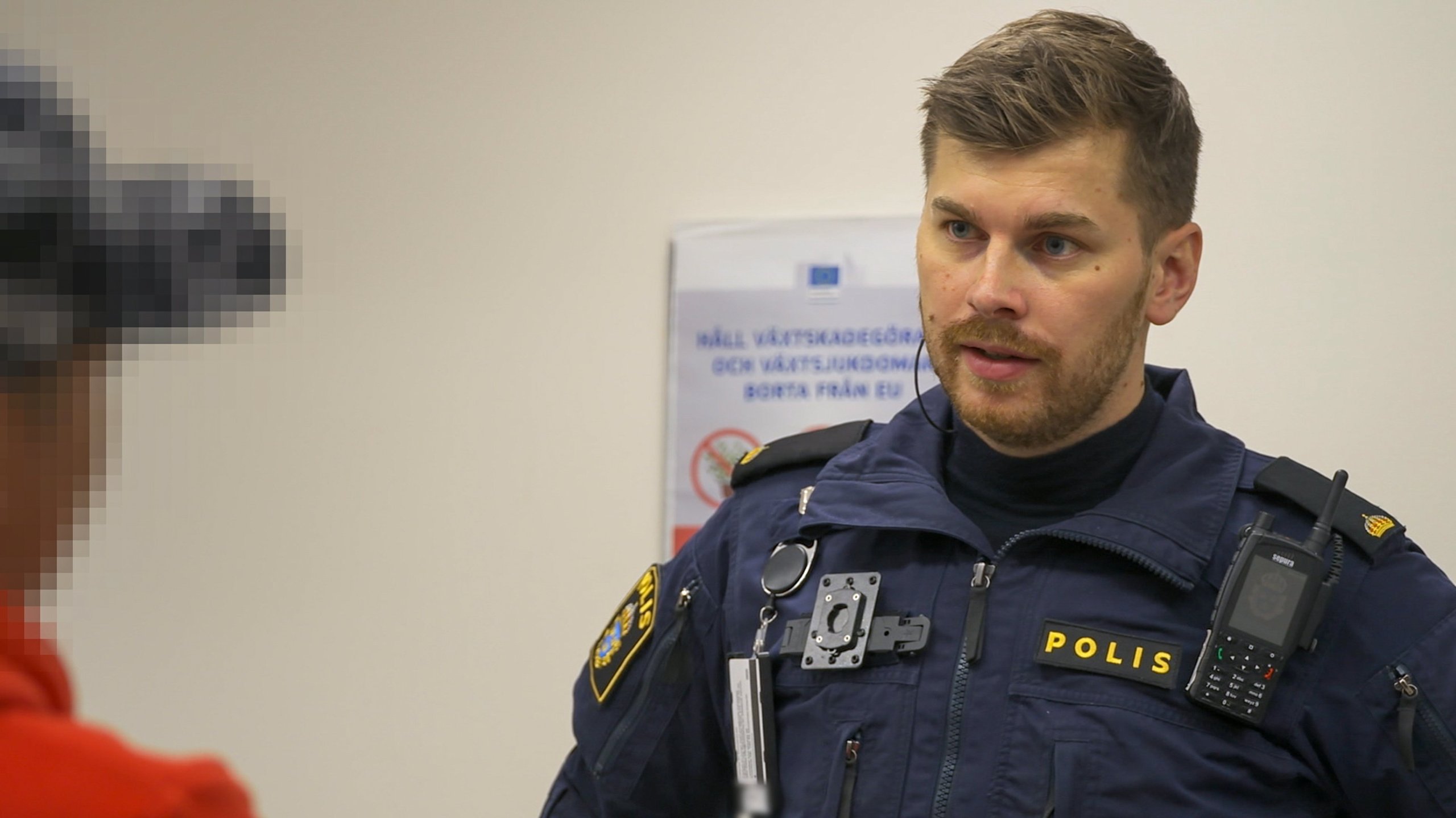 11. Aggressiv norrman