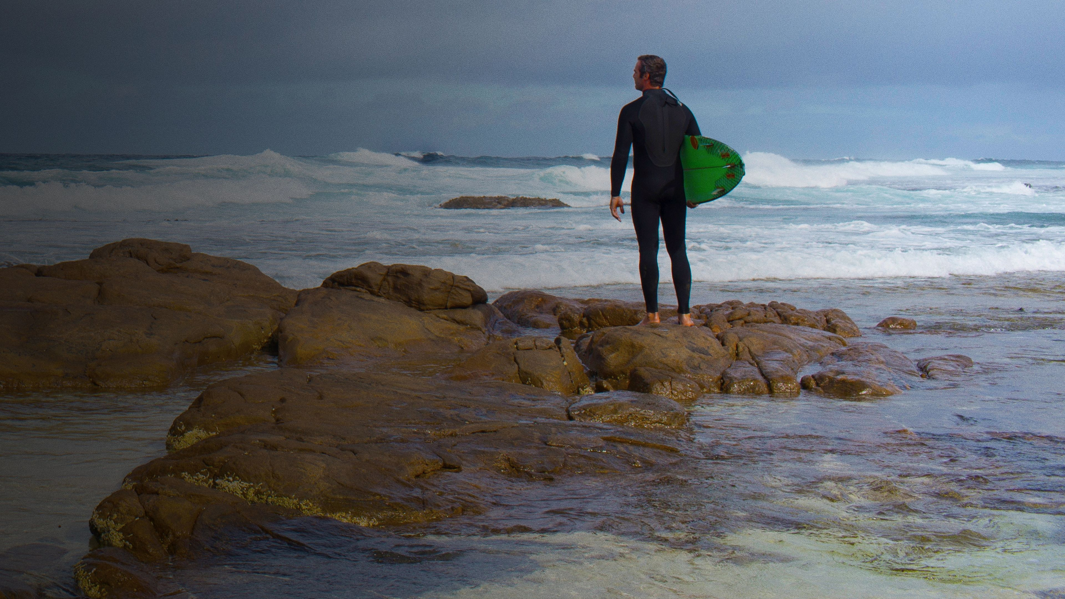 Shark vs Surfer