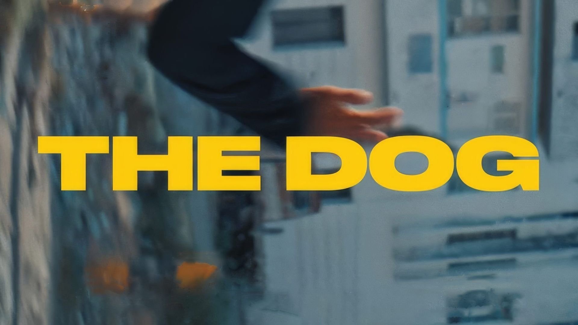 The Dog