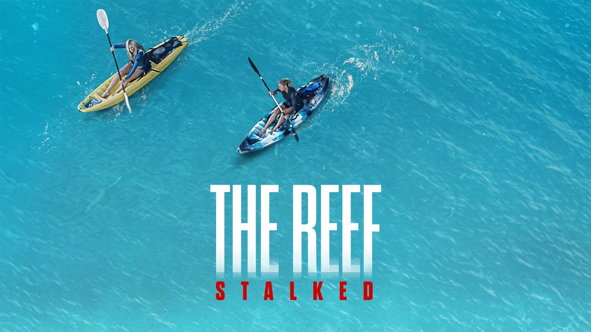 The Reef: Stalked
