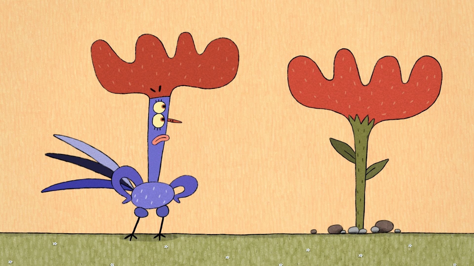 8. A Rival for the Rooster