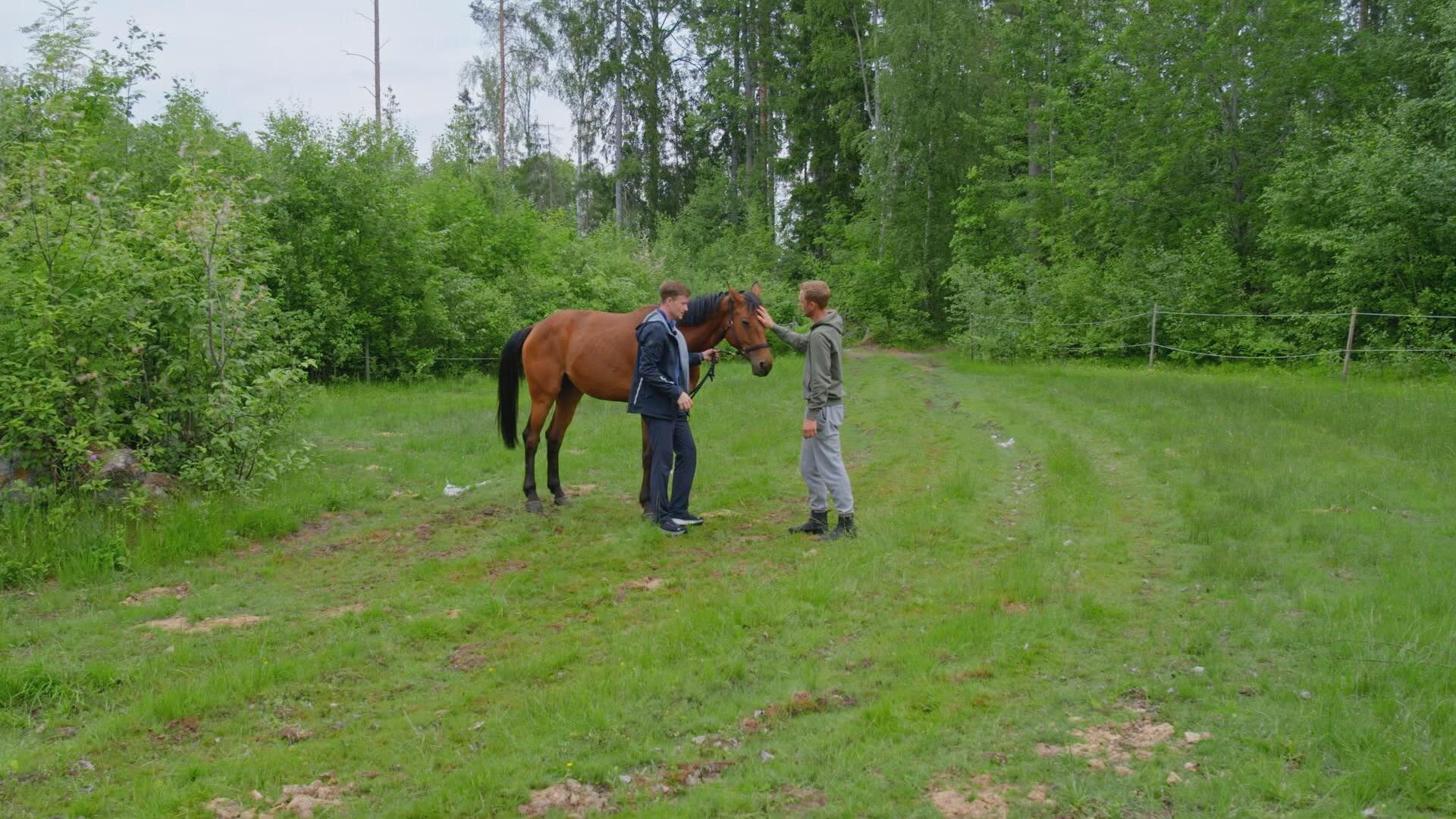 13. Bonde söker fru - Kärlek åt alla S08 E013