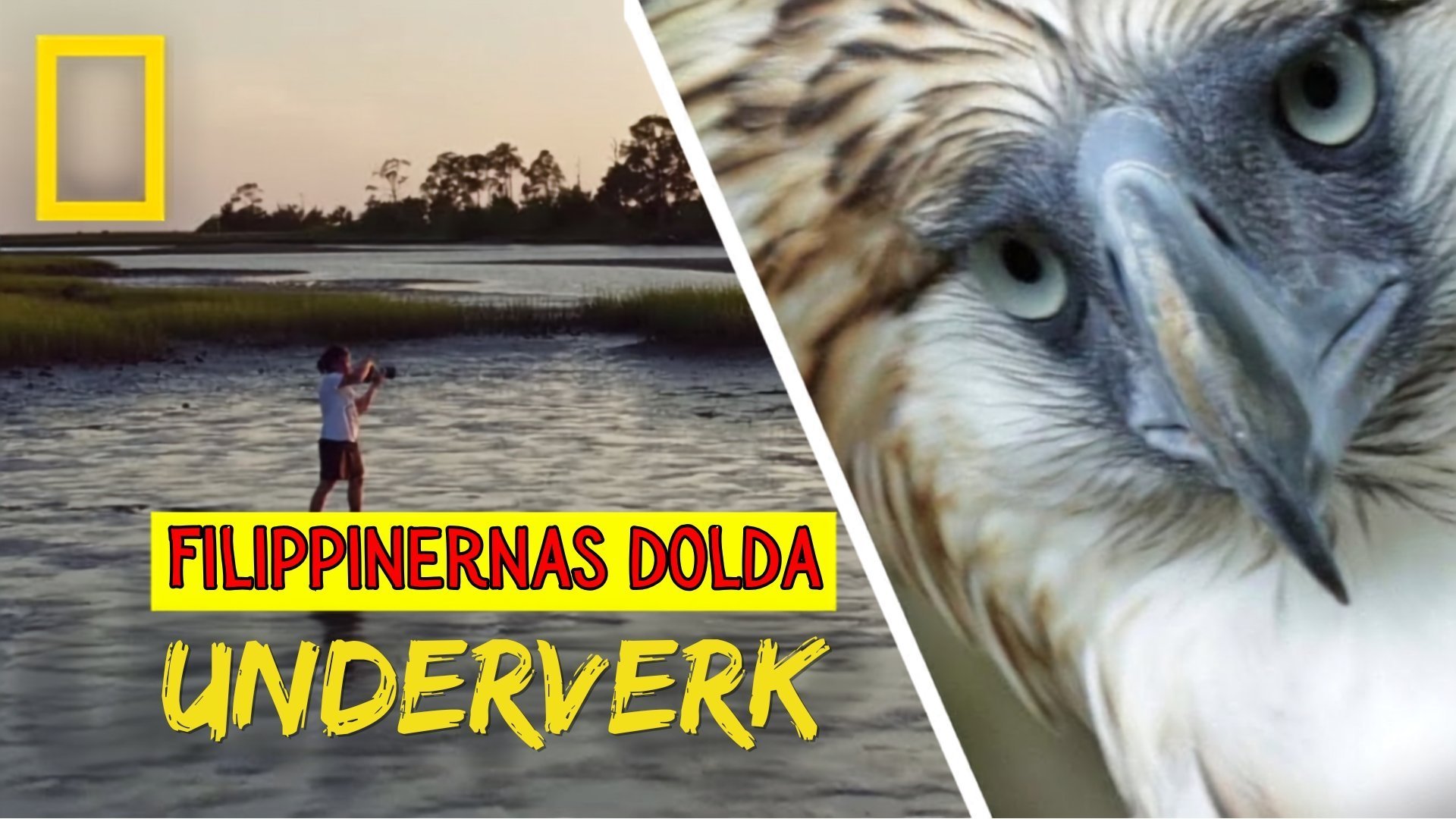 Filippinernas dolda underverk