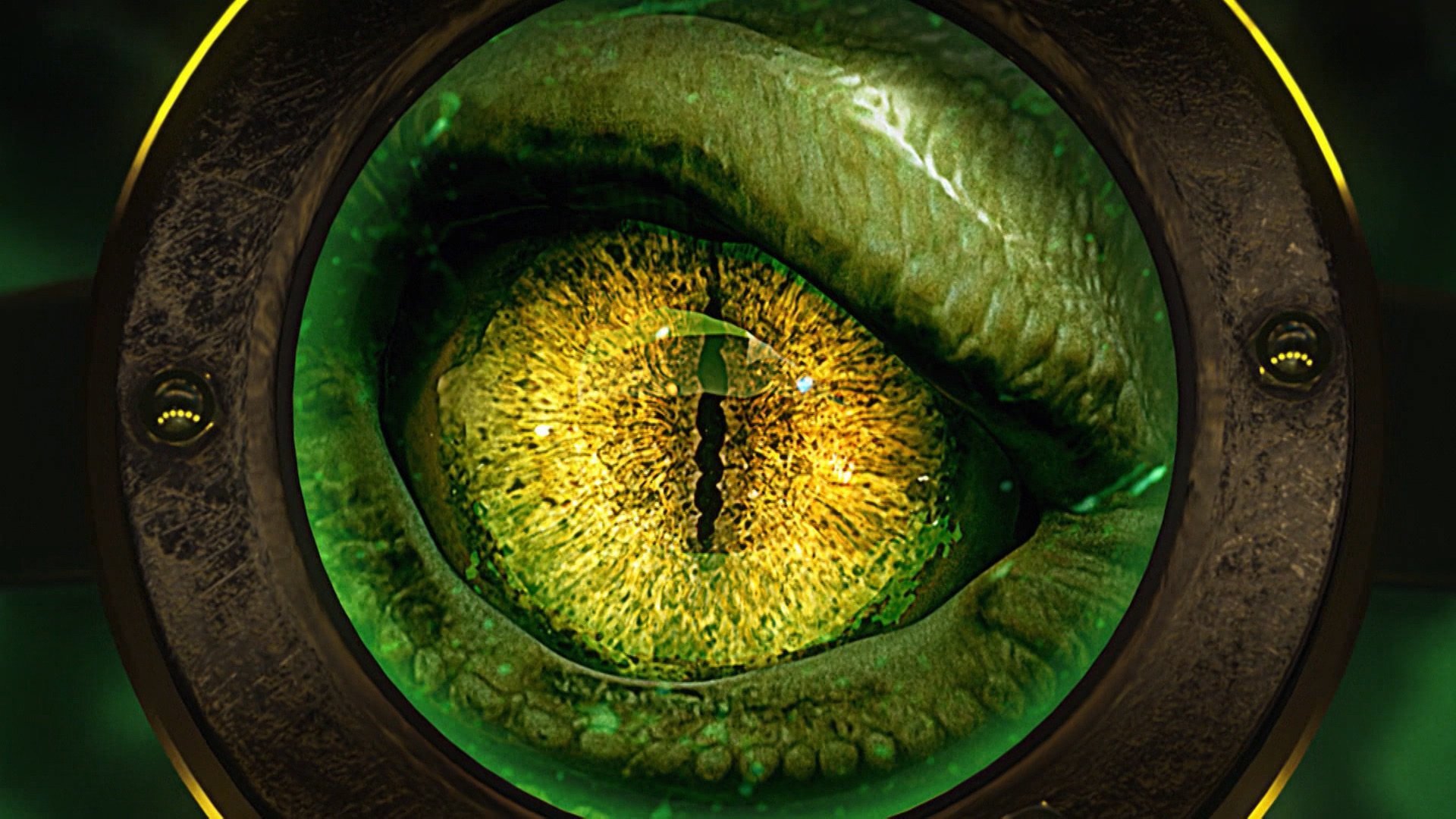 The Best of MonsterQuest