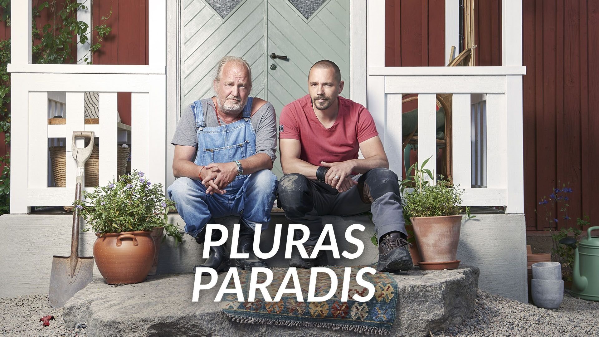 Pluras paradis