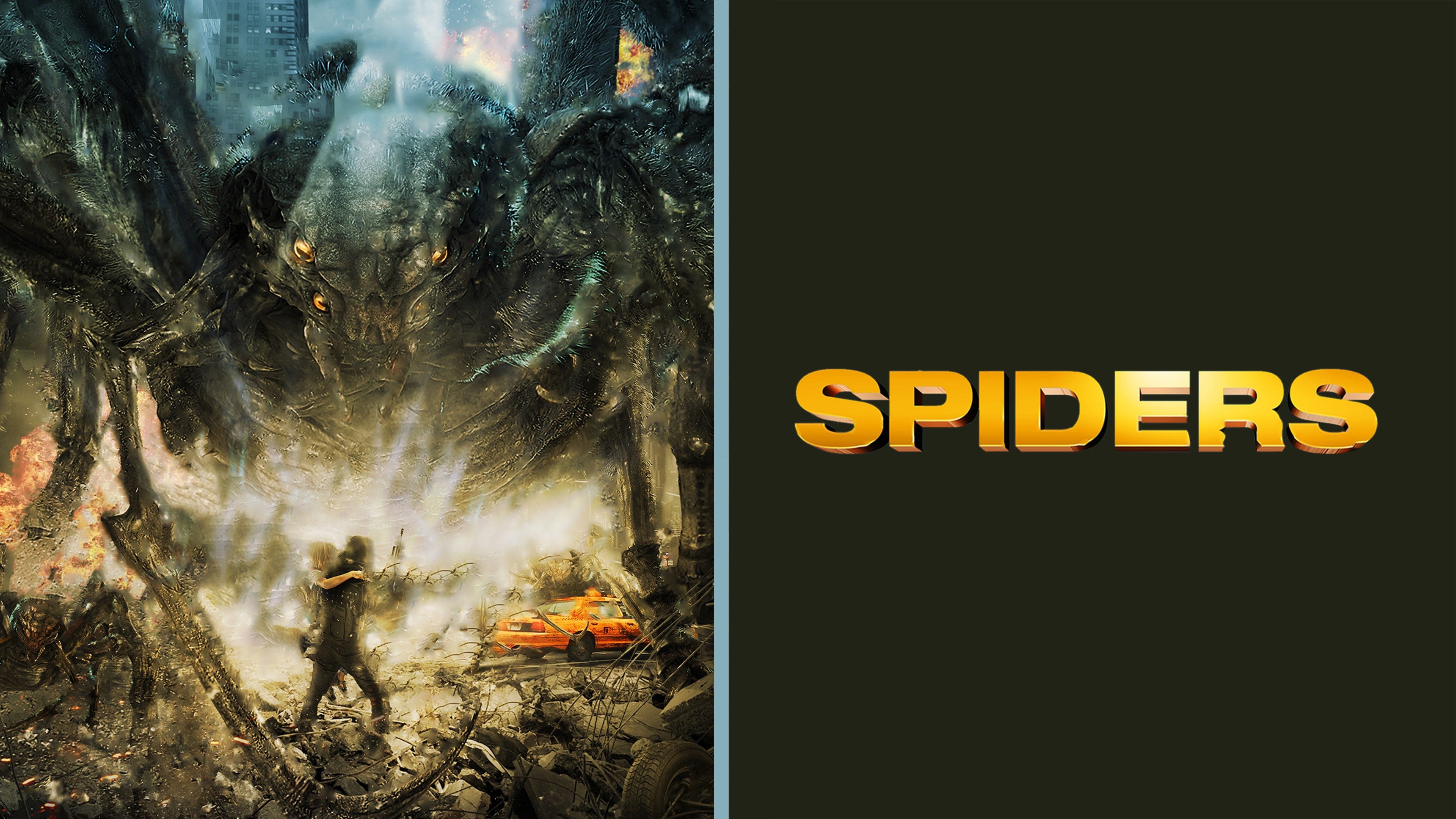 Spiders
