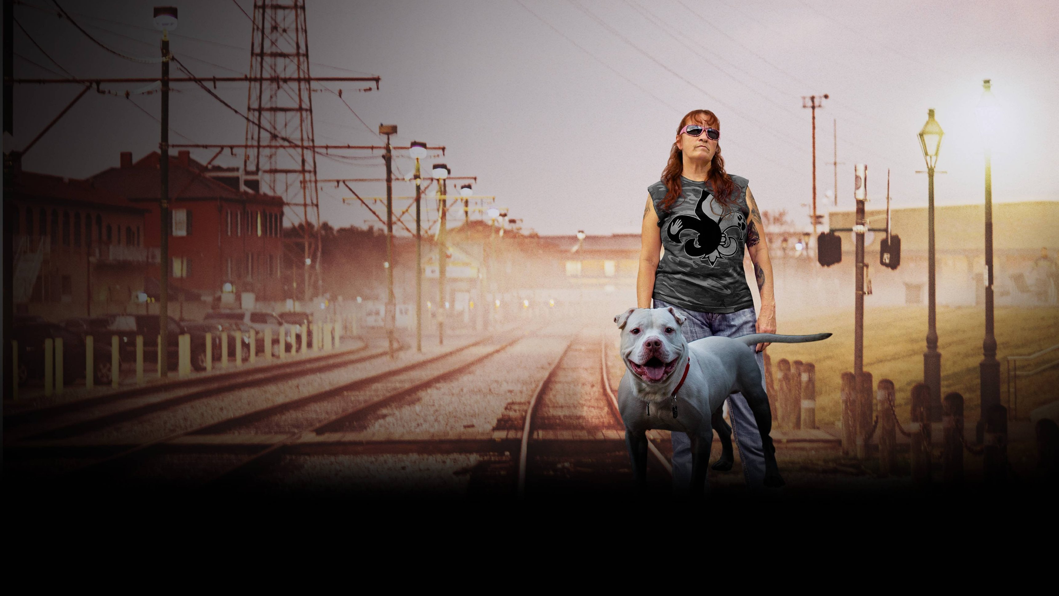 Pit Bulls & Parolees