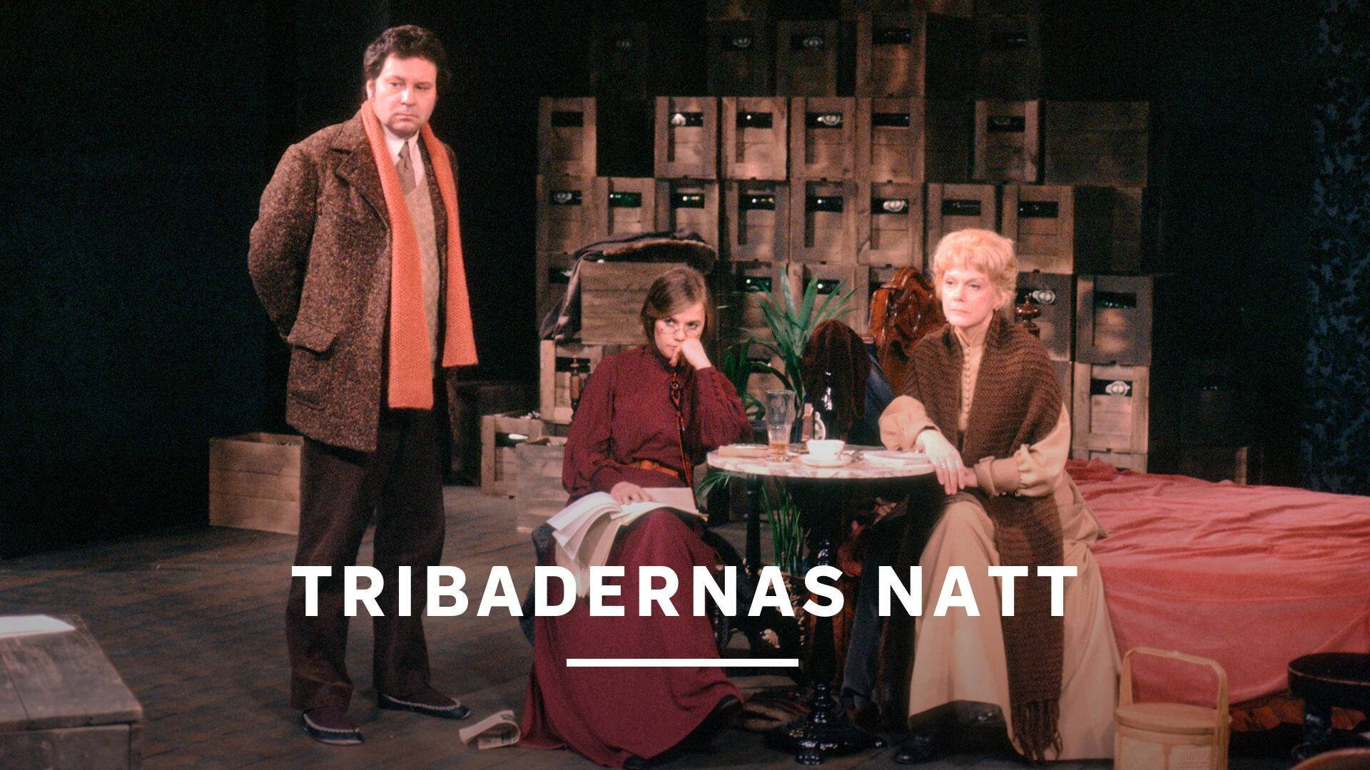 Tribadernas natt