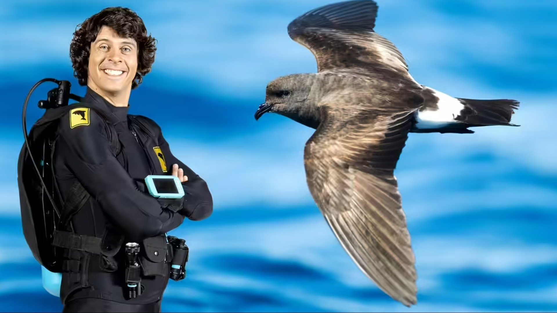 23. Andy och stormsvalan
