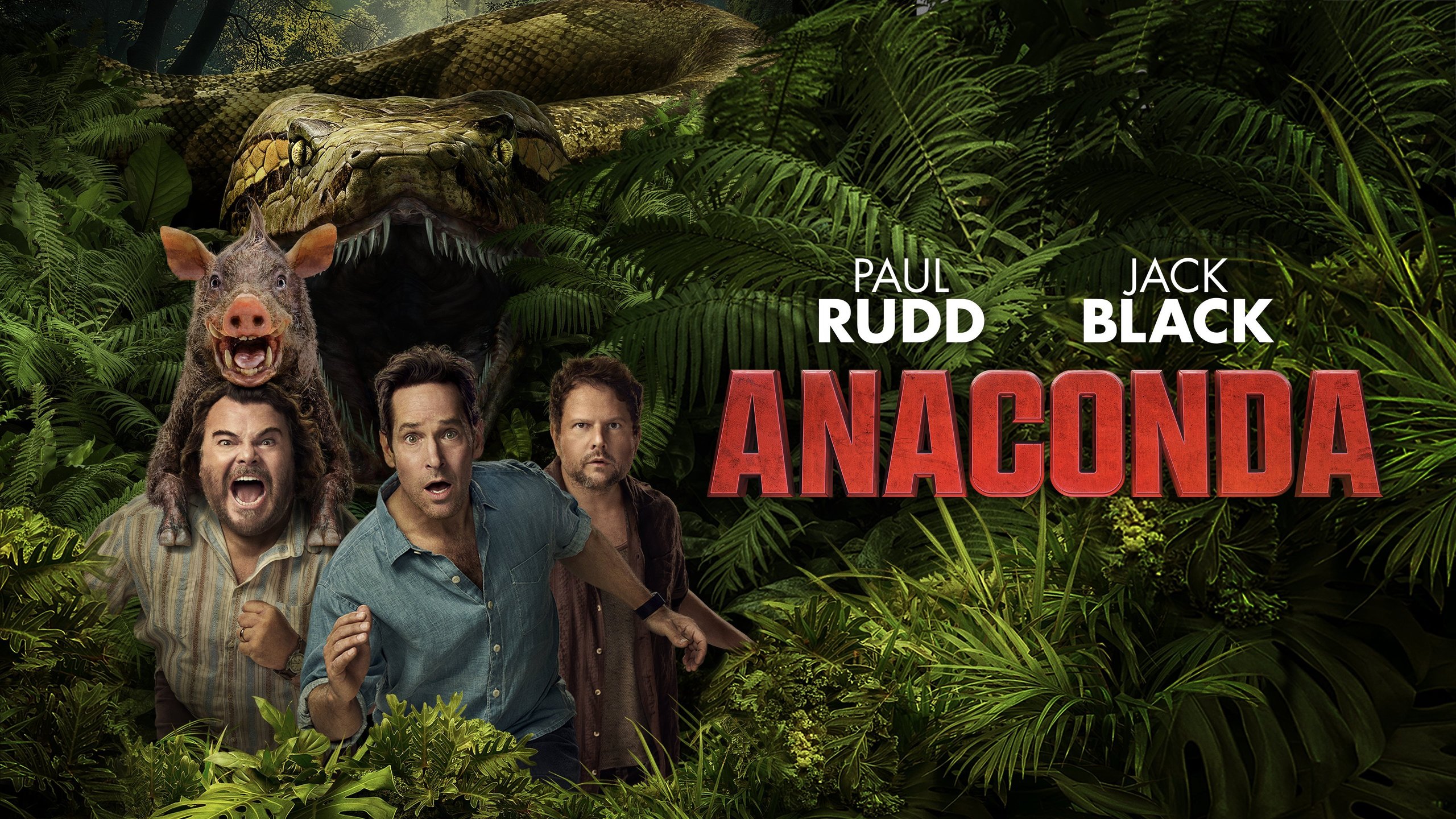 Anaconda