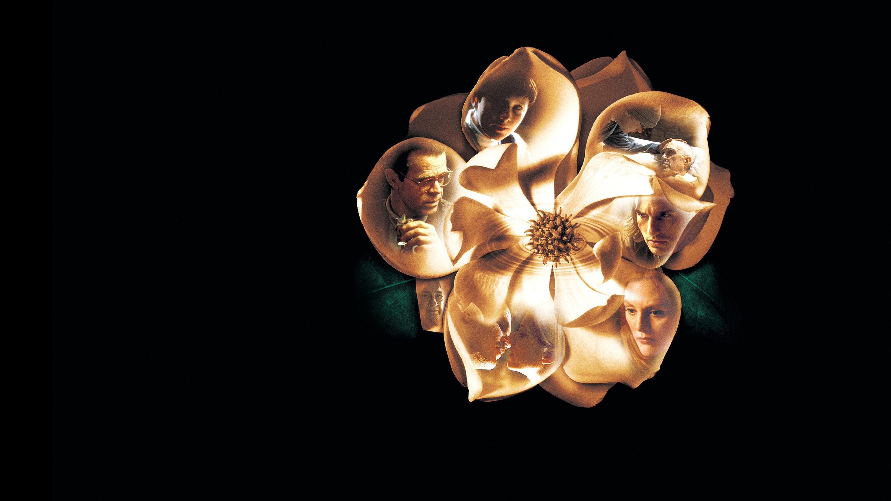 Magnolia