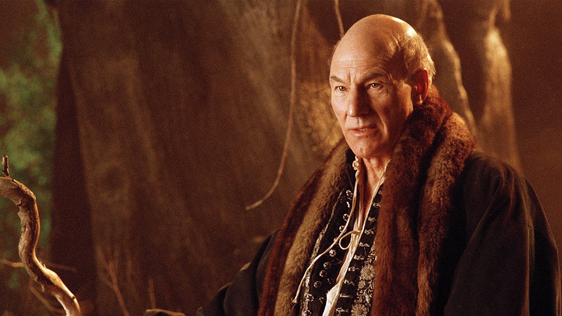 6. Patrick Stewart