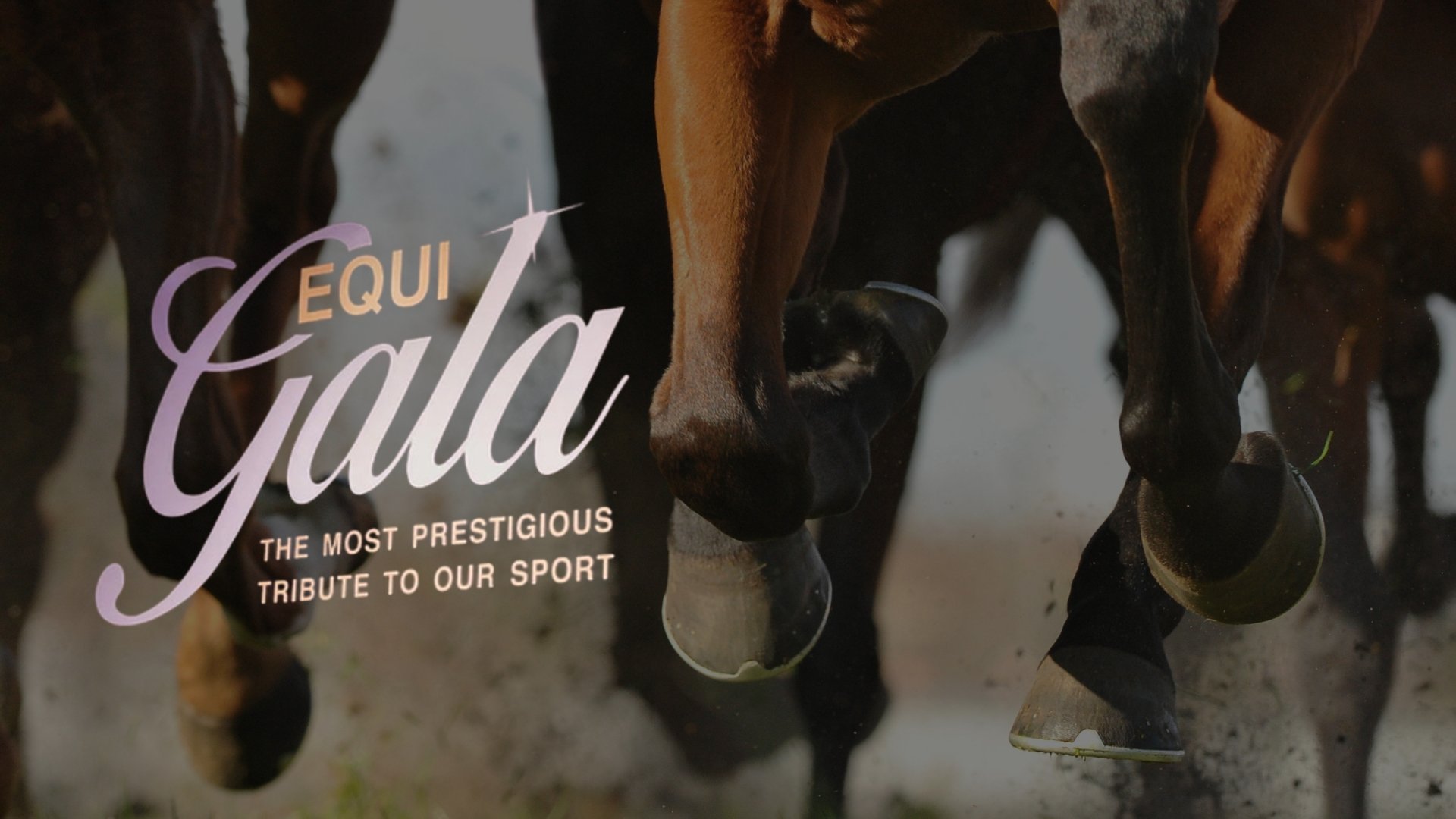 Equigala 2026