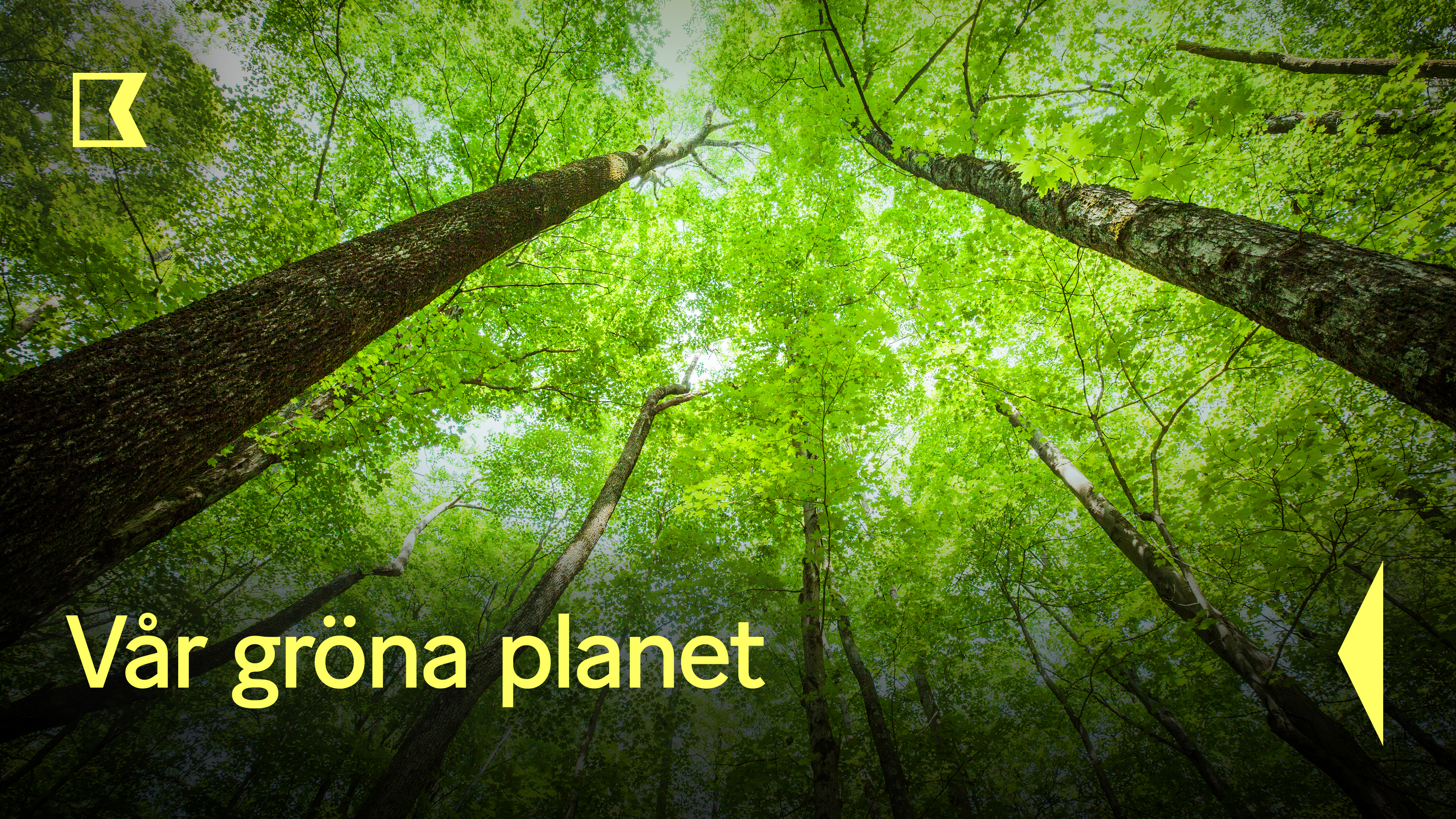 Världens natur: Green planet