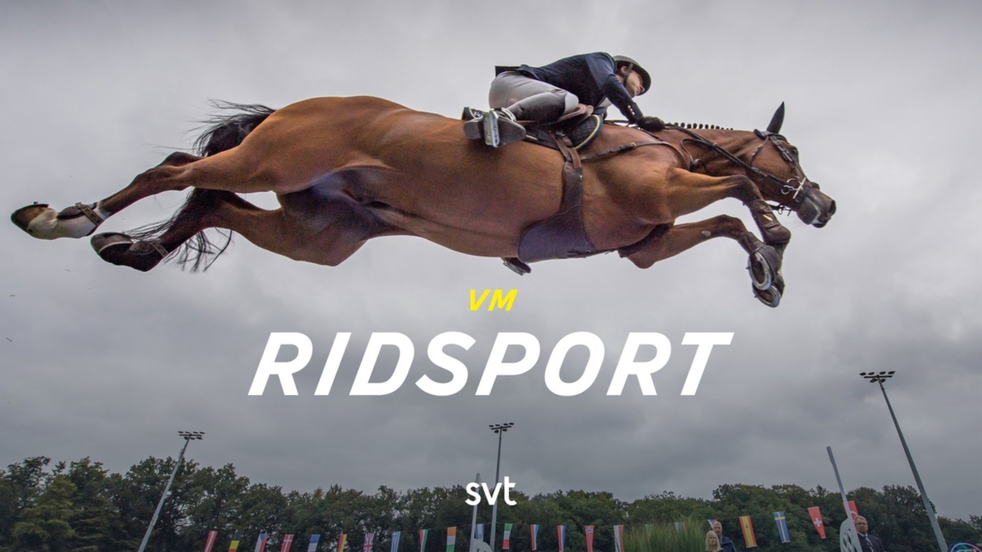 Ridsport: VM