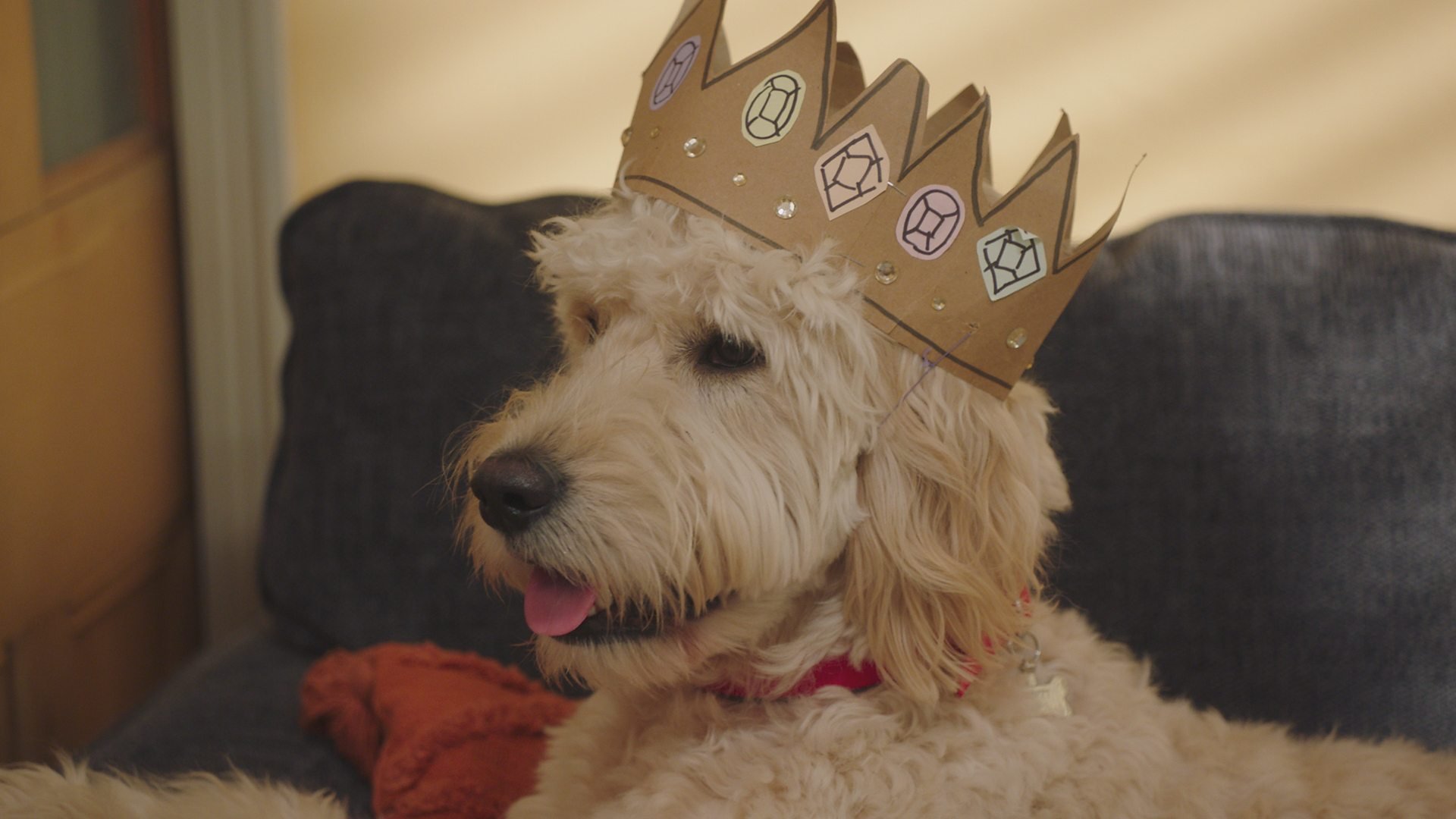 20. Prinsessa på besök