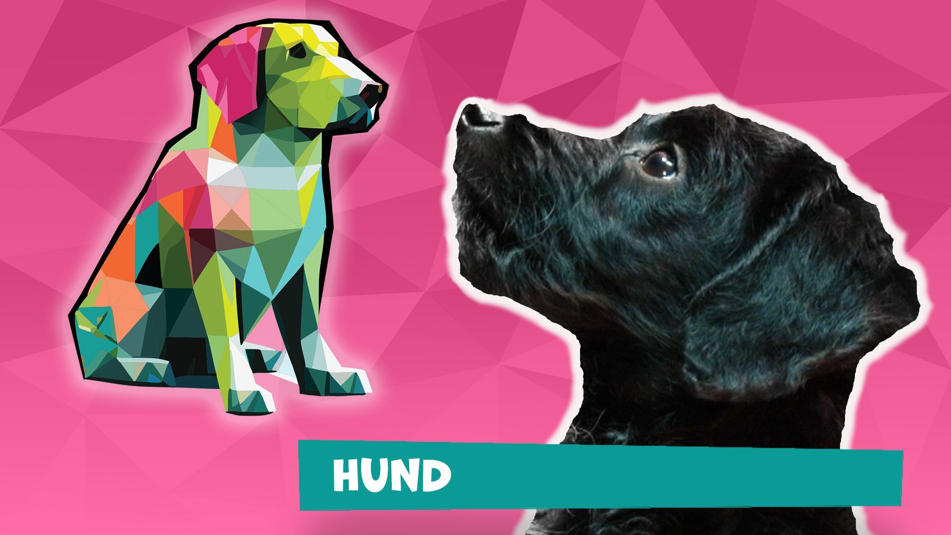 1. Hundar
