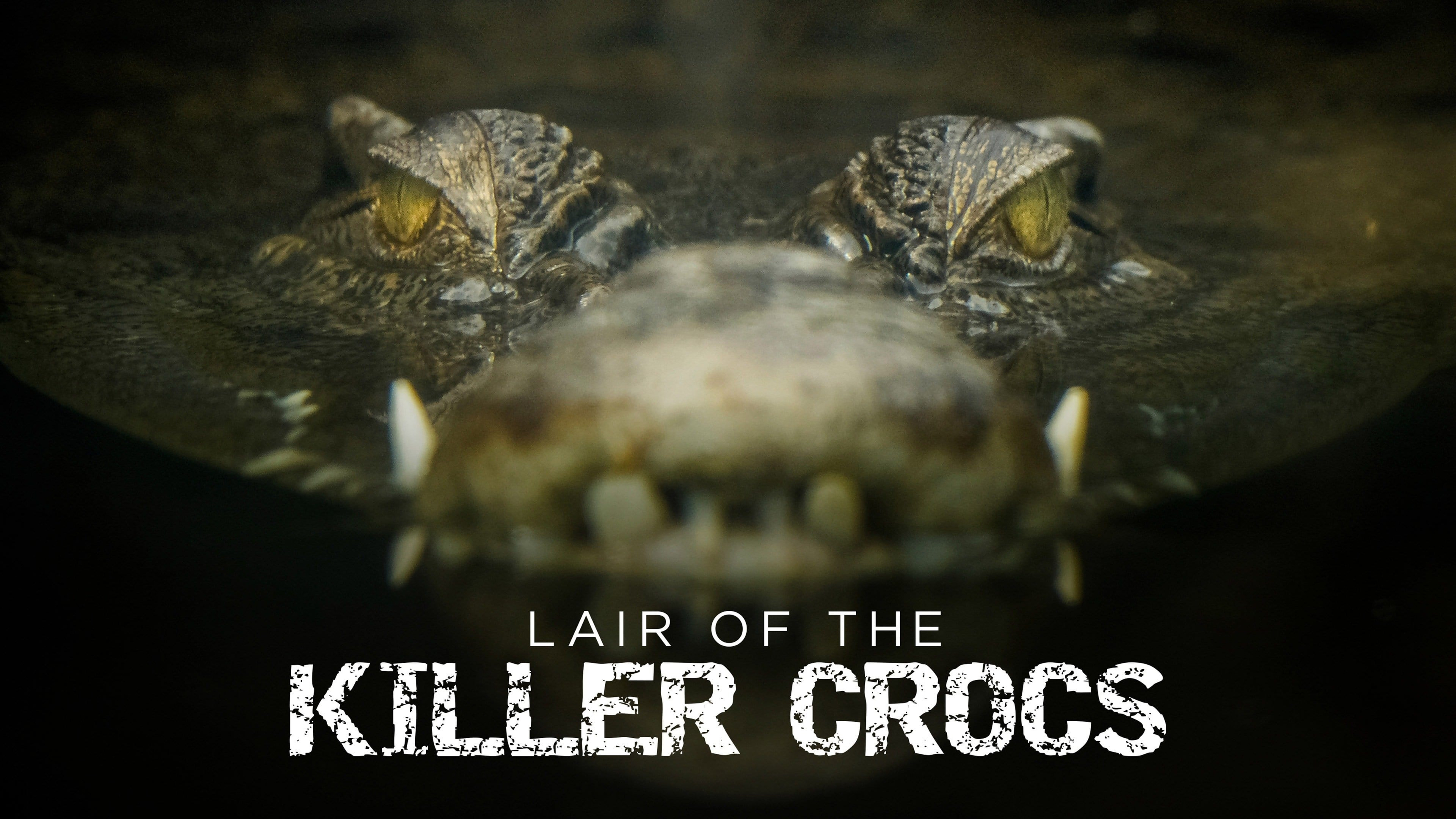 Lair Of The Killer Crocs