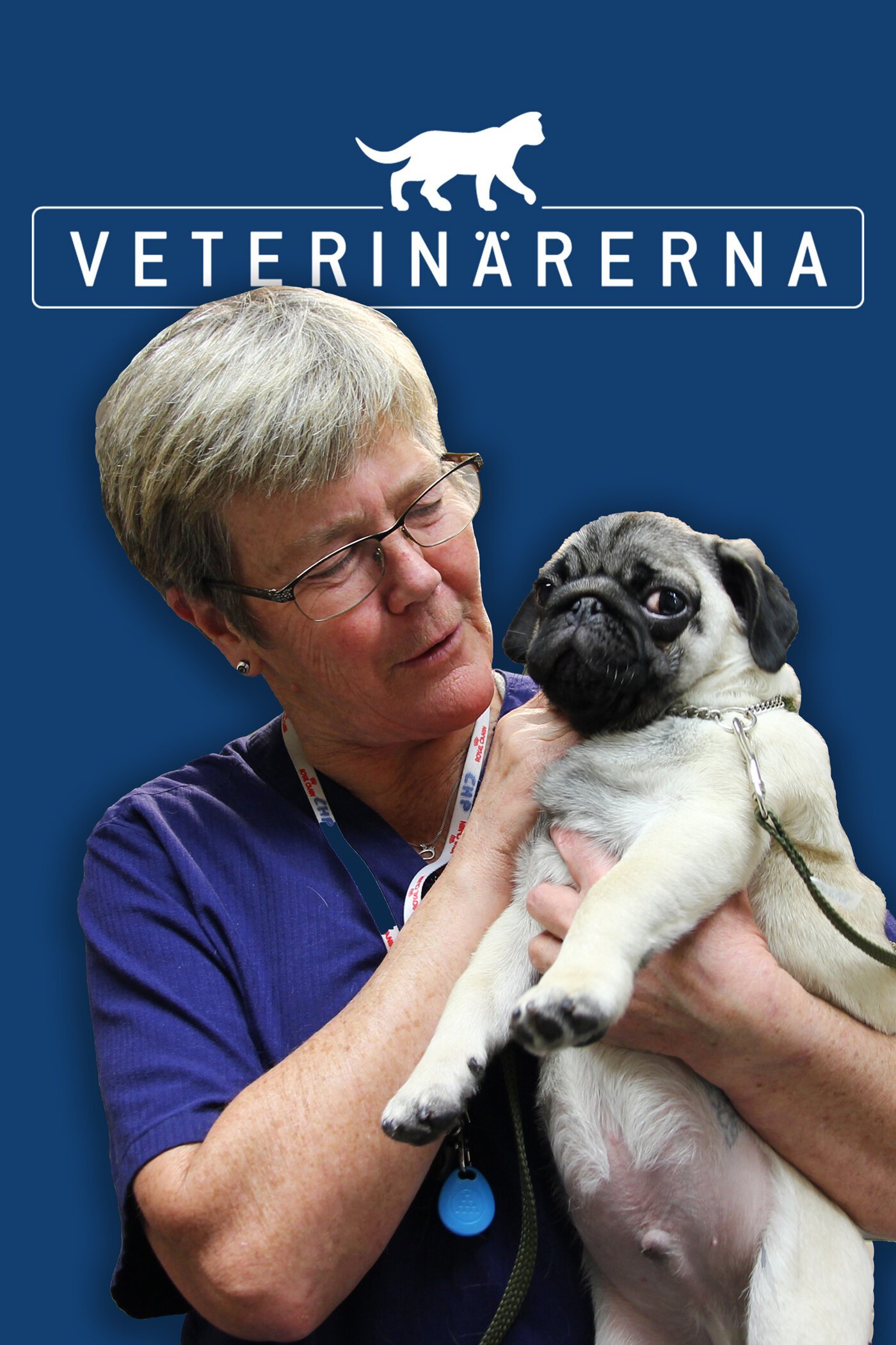 Veterinärerna