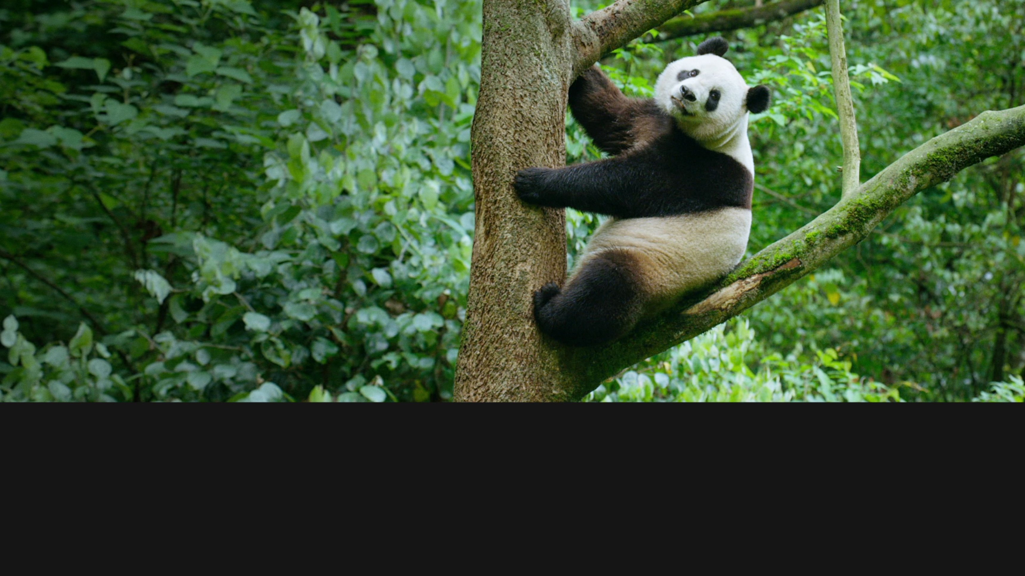 Expedition Kina