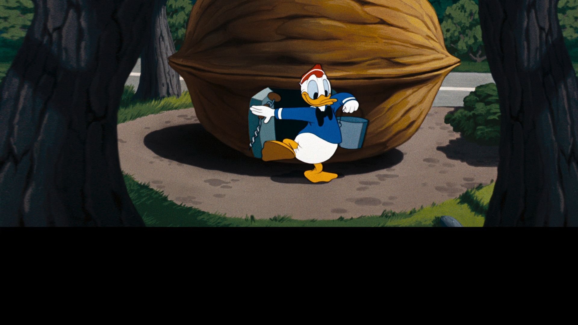 Kalle Anka i ett nötskal