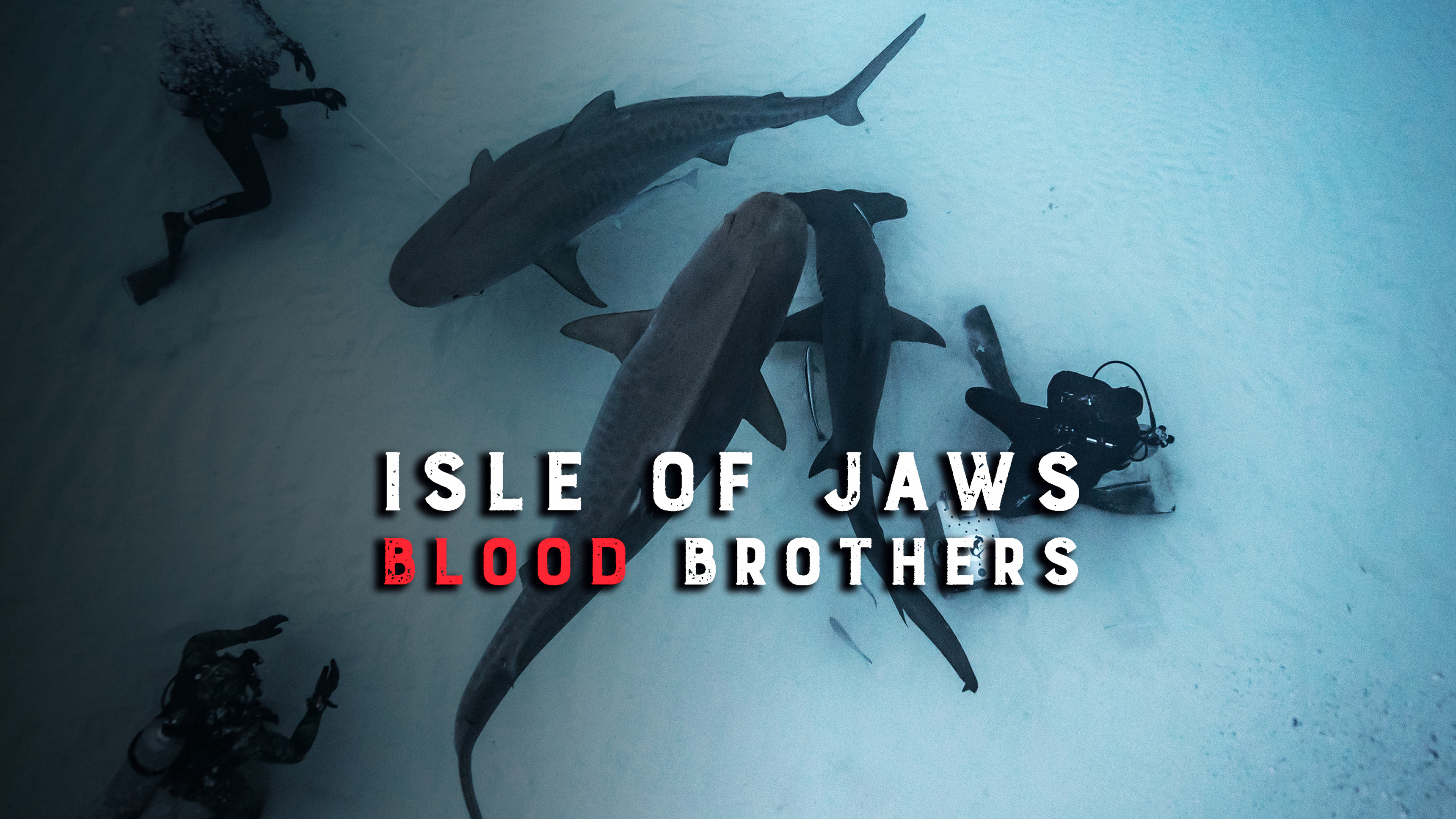 Isle Of Jaws: Blood Brothers