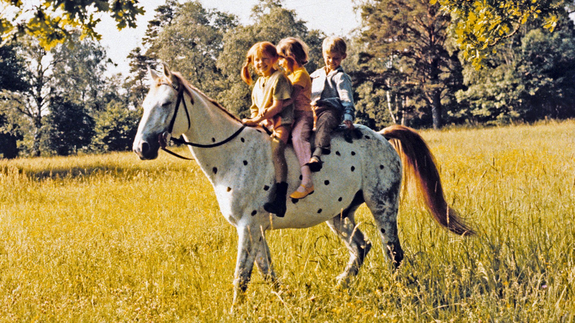 2. Pippi är sakletare och går på kalas