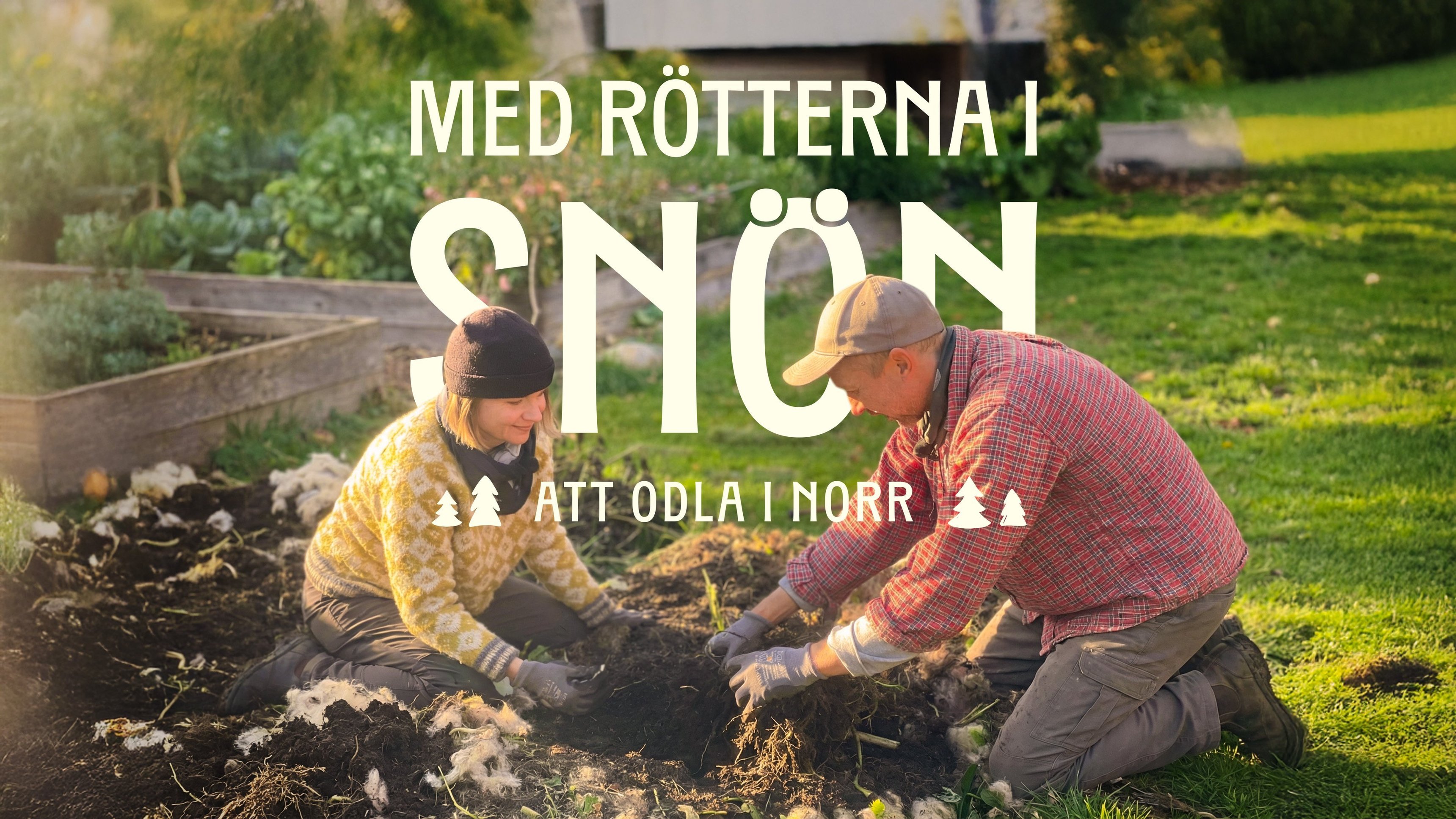 Med rötterna i snön