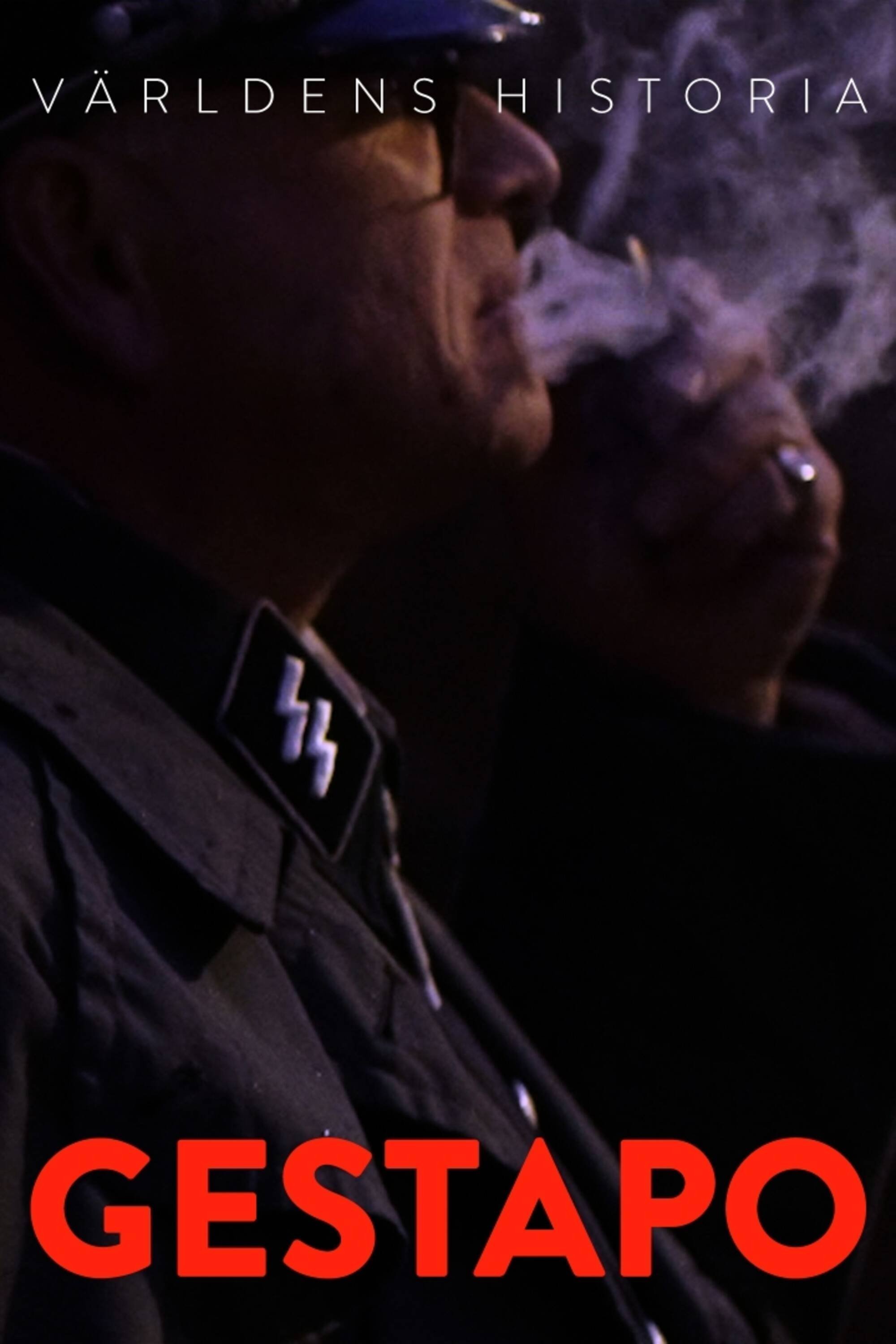 Världens historia: Gestapo