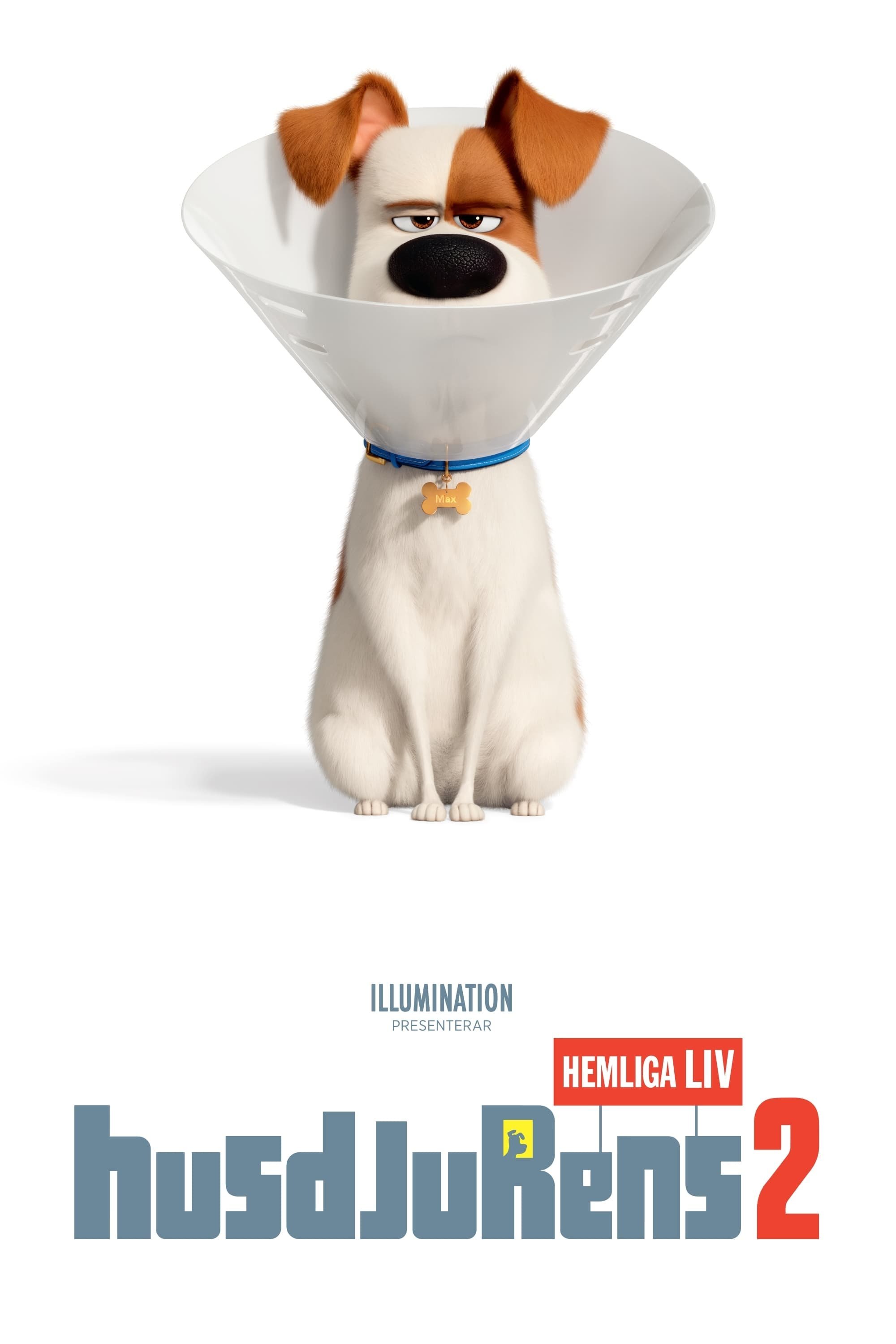 The Secret Life of Pets 2