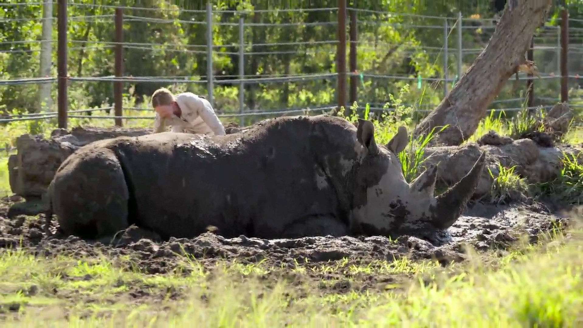 10. Tortoise First Date