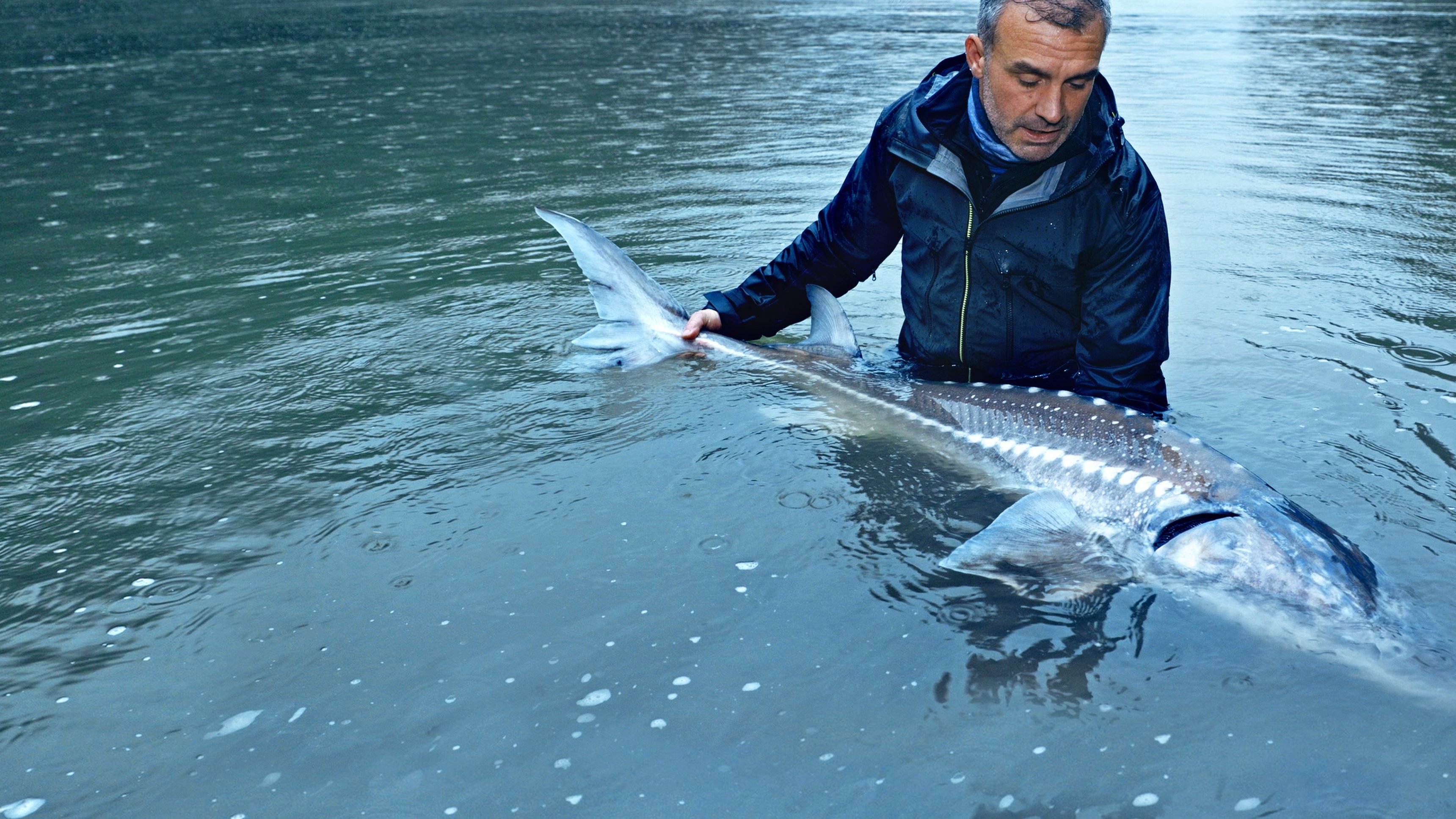 1. Monster Sturgeon