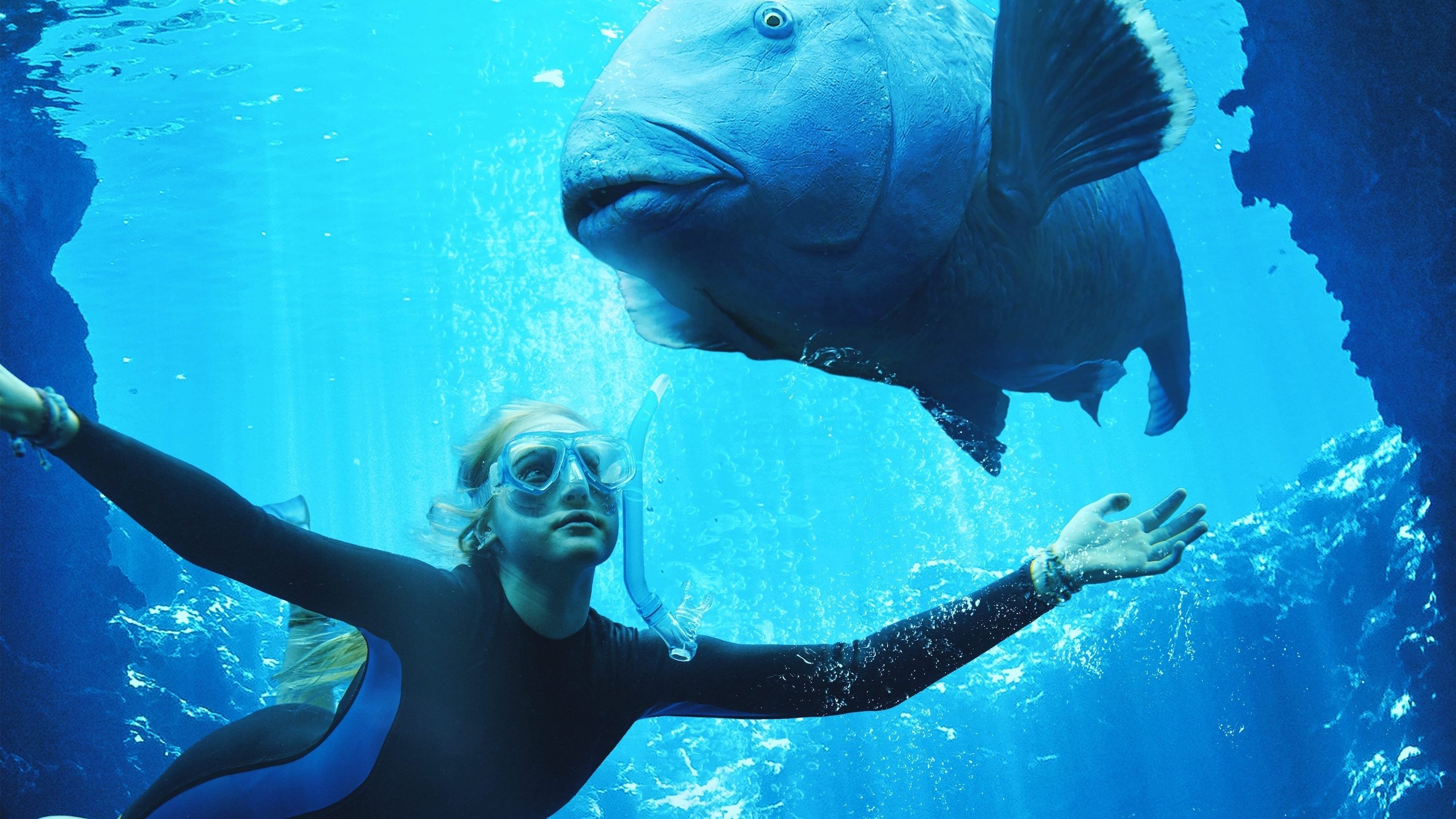 Blueback