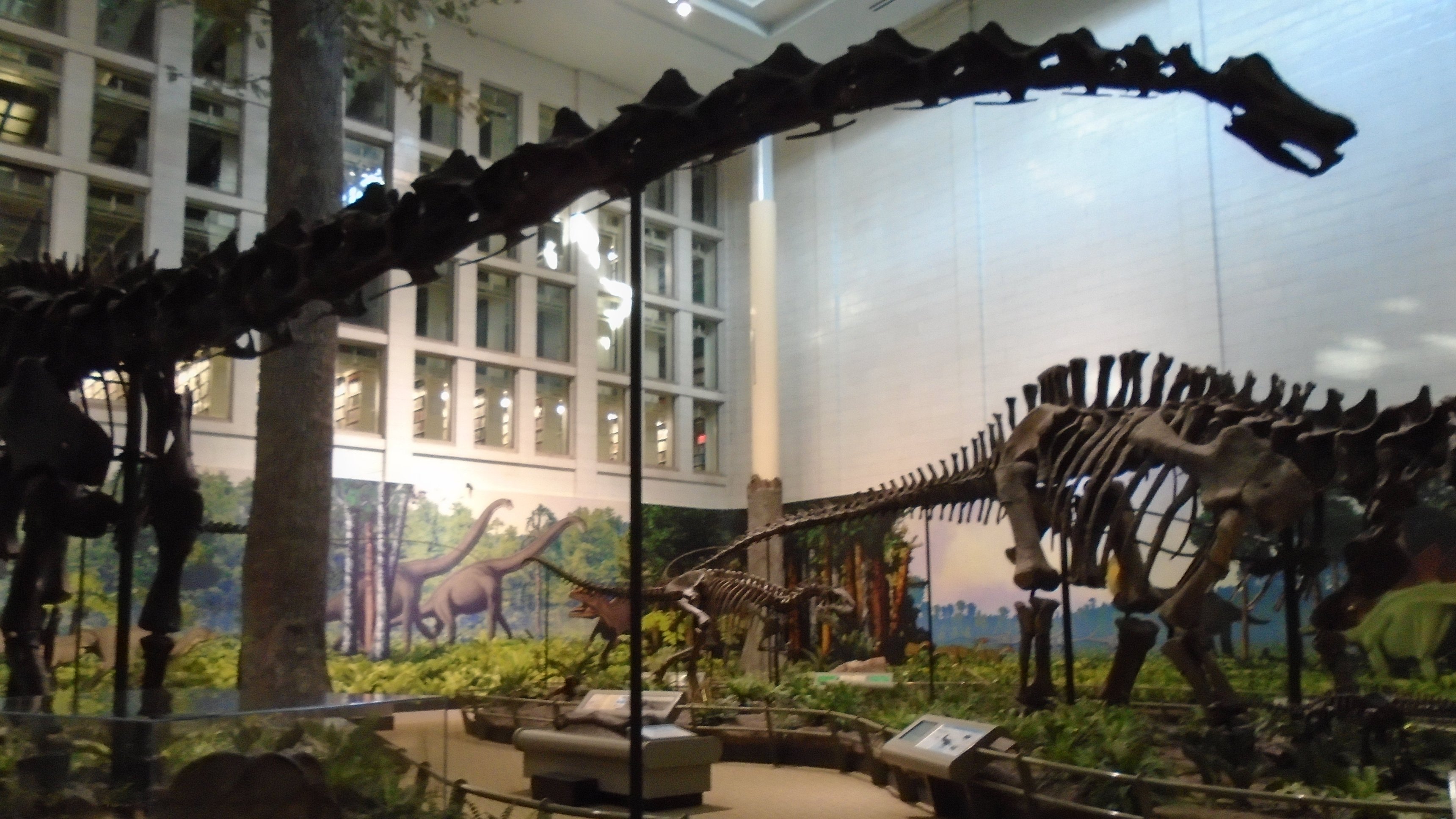 3. Mysteries at the Museum