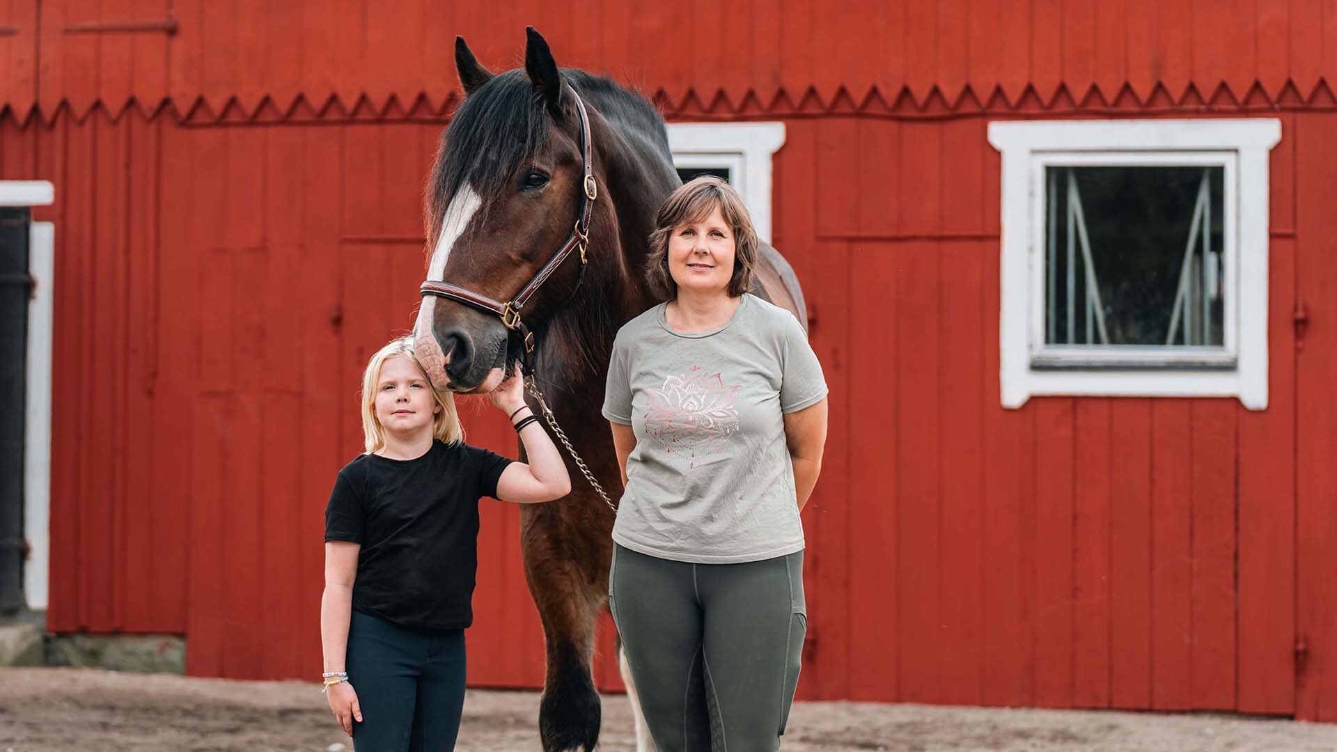 2. Shirehästen Jacson