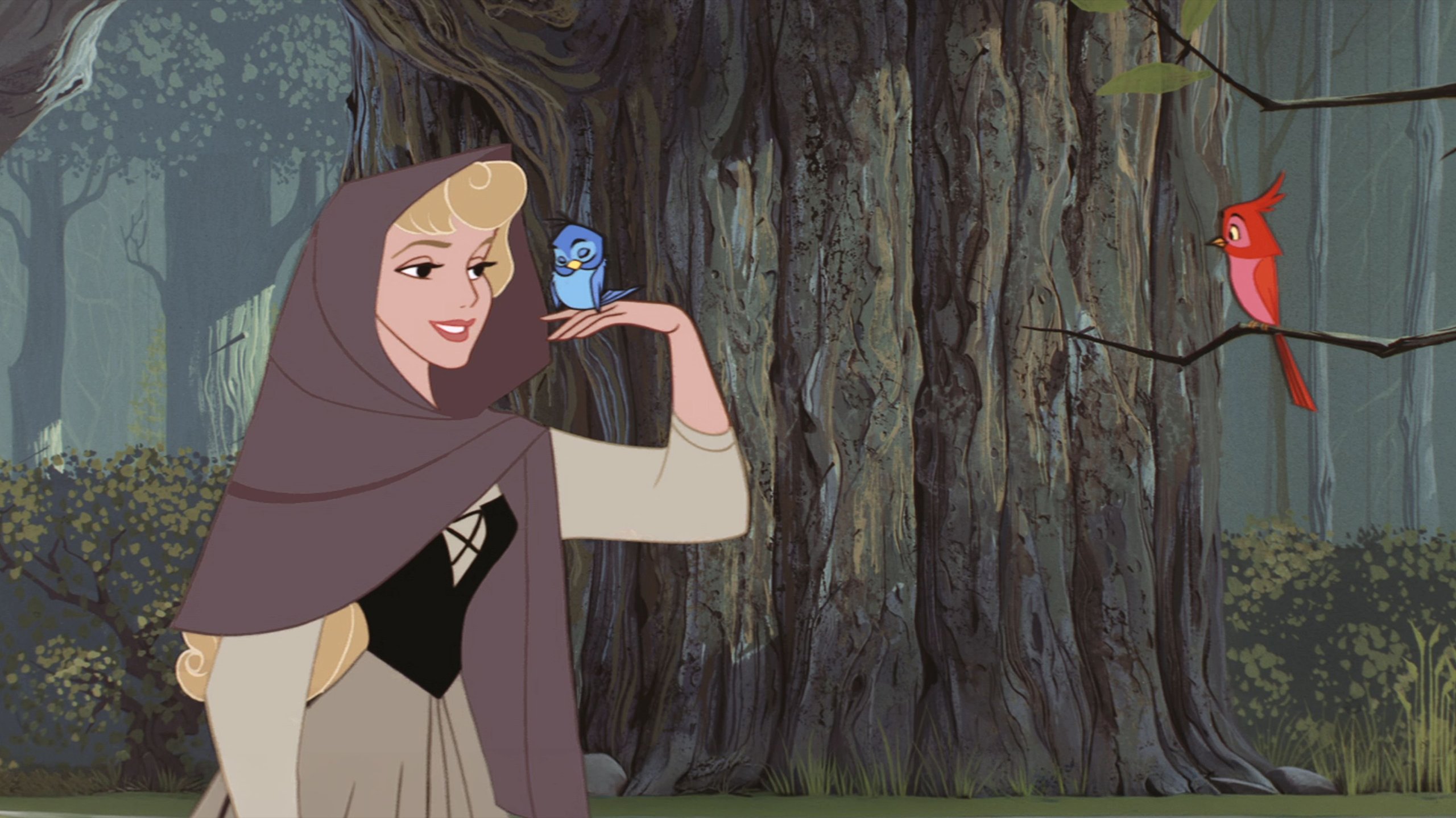 "Do You Hear That?/I Wonder" (Sing-Along) | Sleeping Beauty Music Video