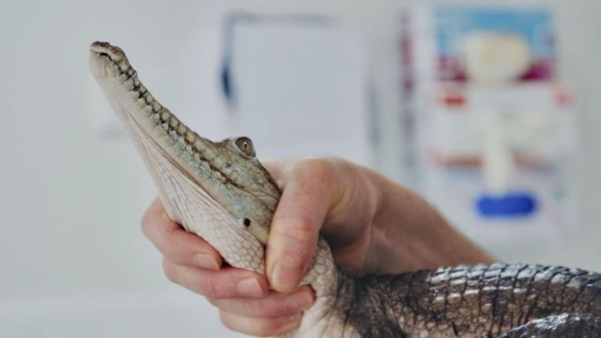 2. Scaling Up Patient Care