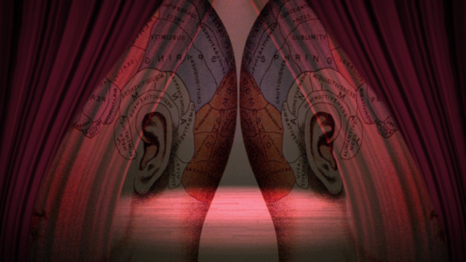 Den kulturella hjärnan