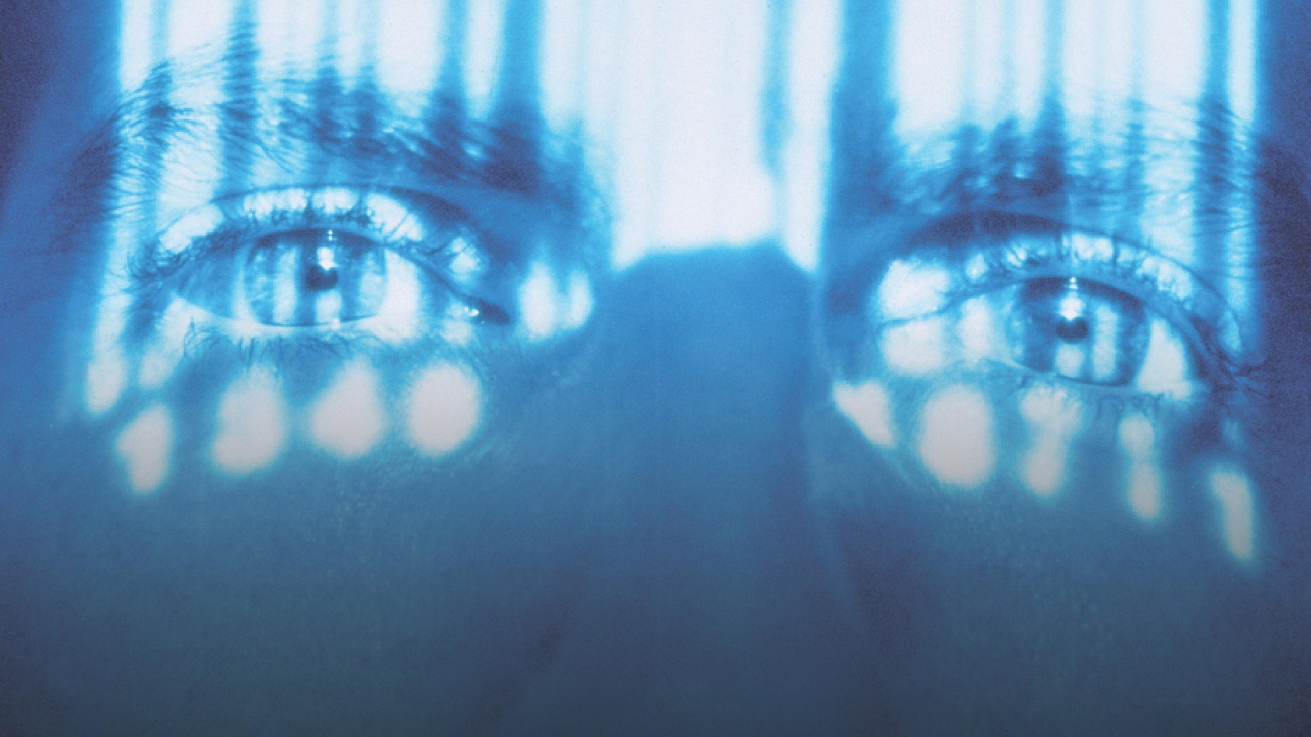 Life Afterlife: America Undercover