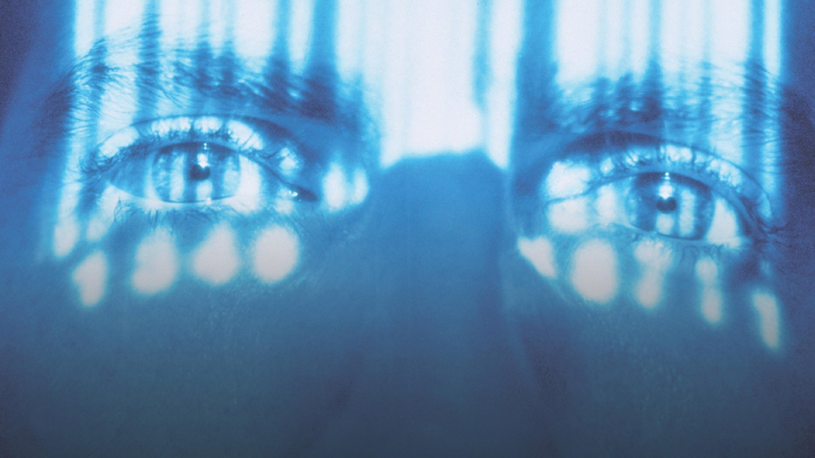 Life Afterlife: America Undercover