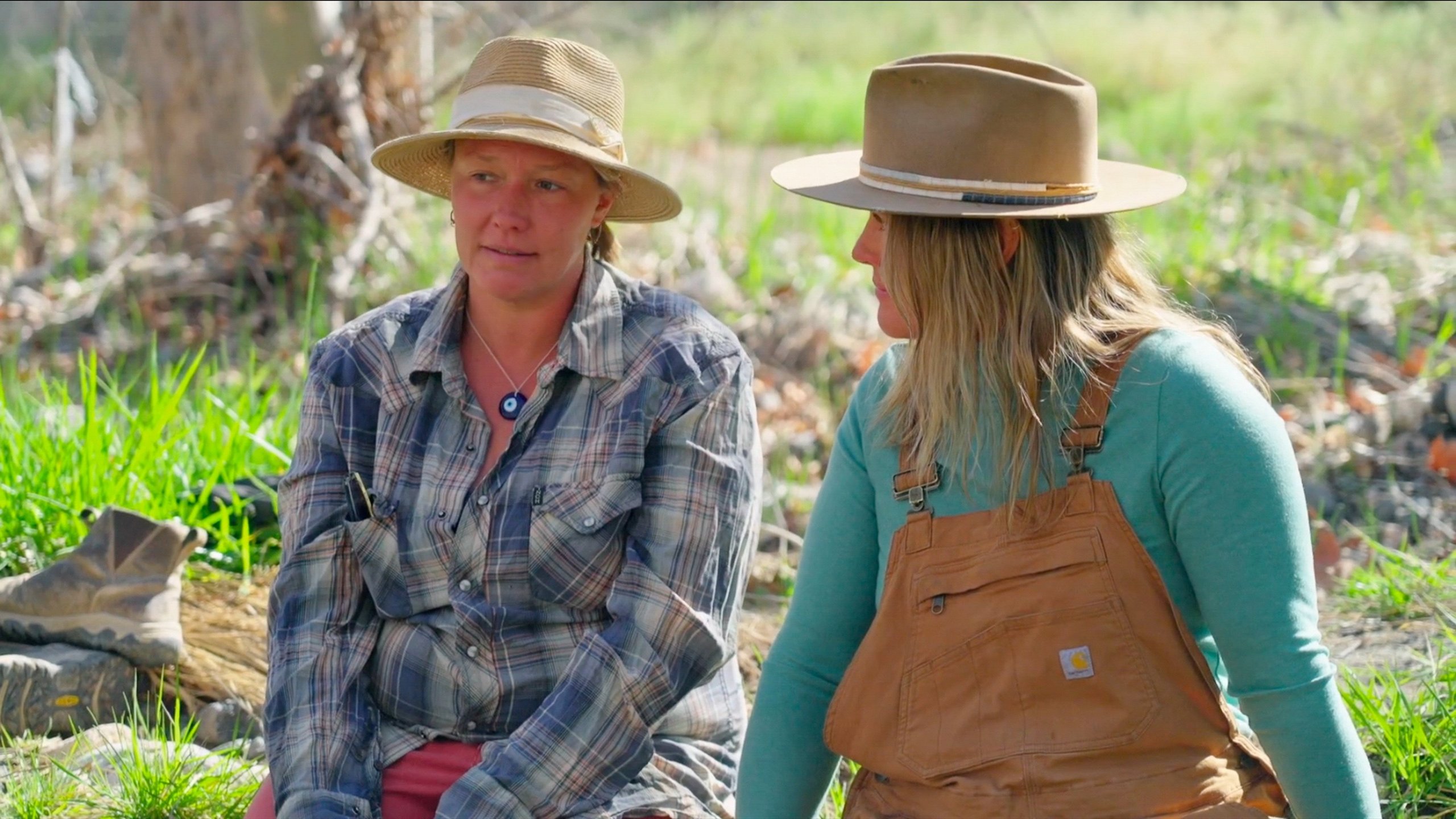 4. A Homestead Divided