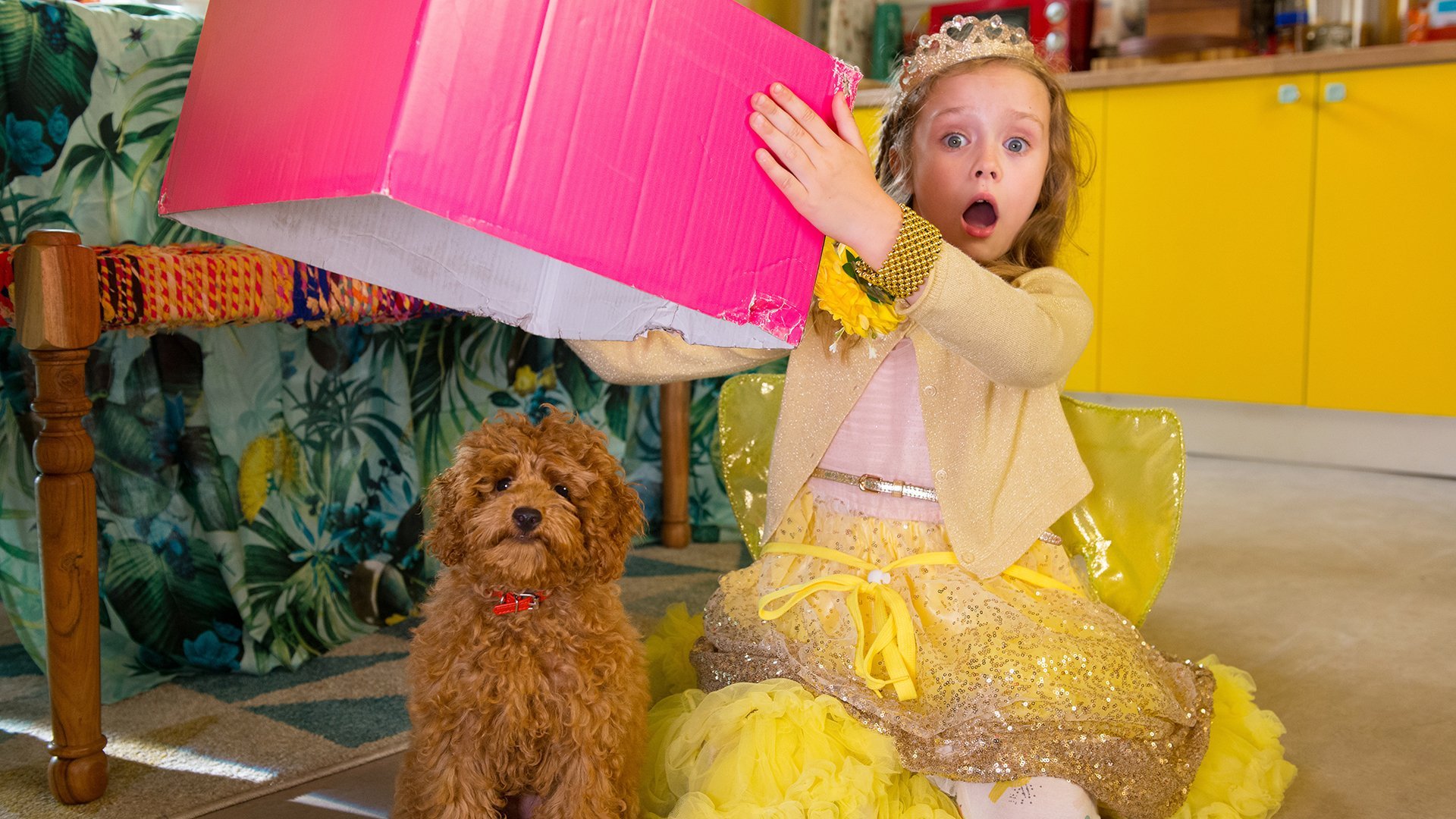 1. Första mötet med Våfflan