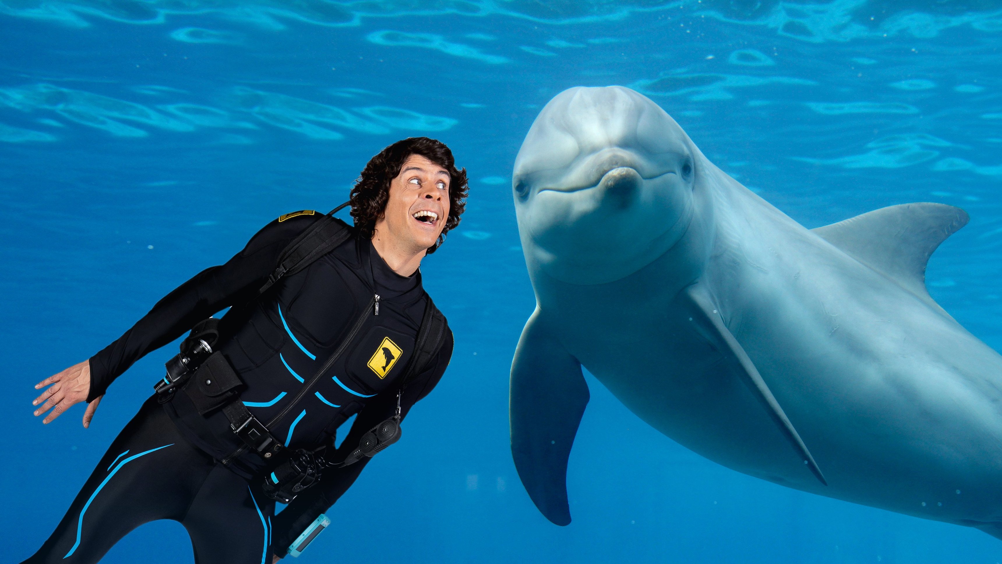 11. Andy och flasknosdelfinerna