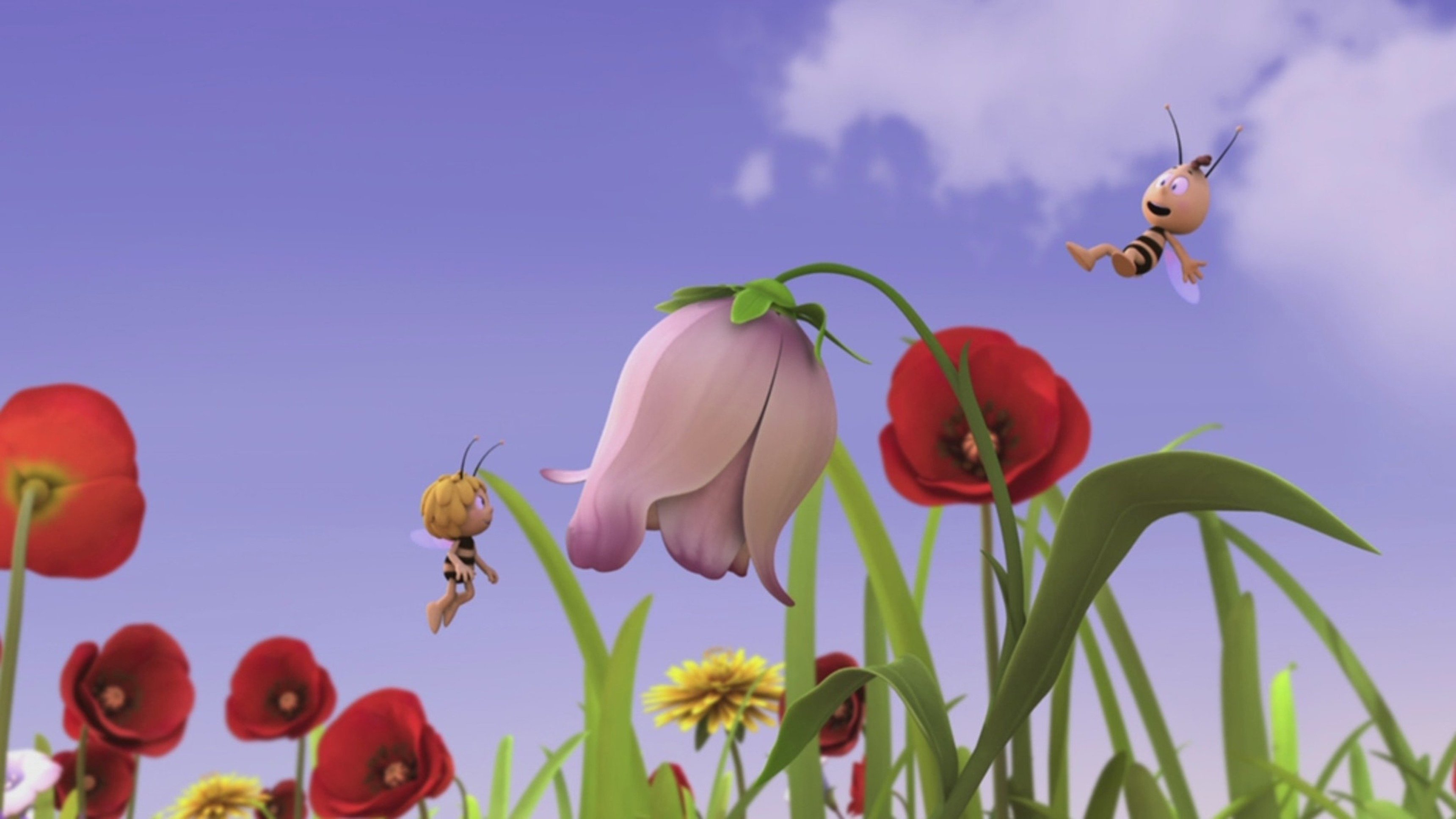 69. Att dela på en blomma