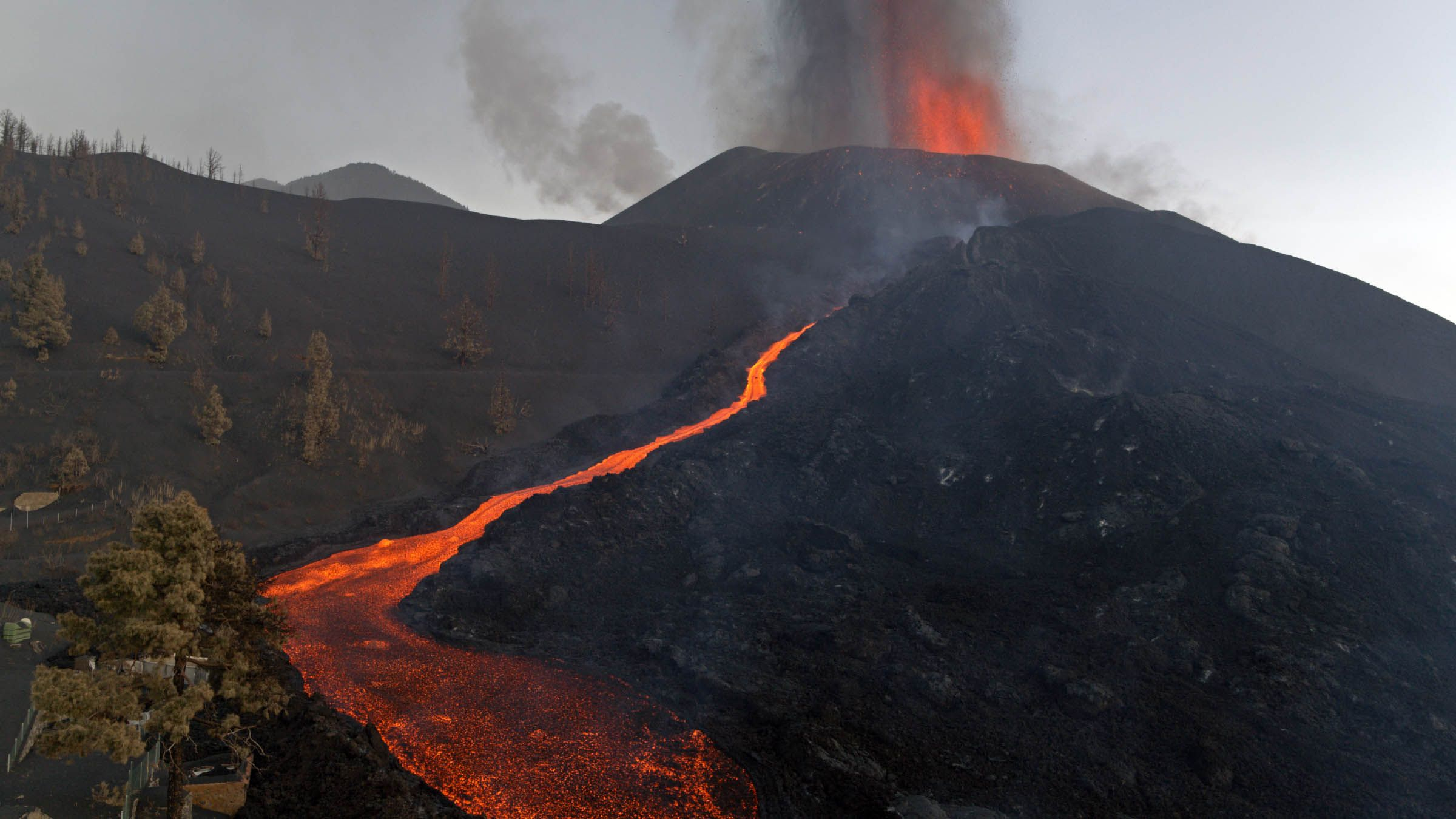 Canary Islands: Born of Fire