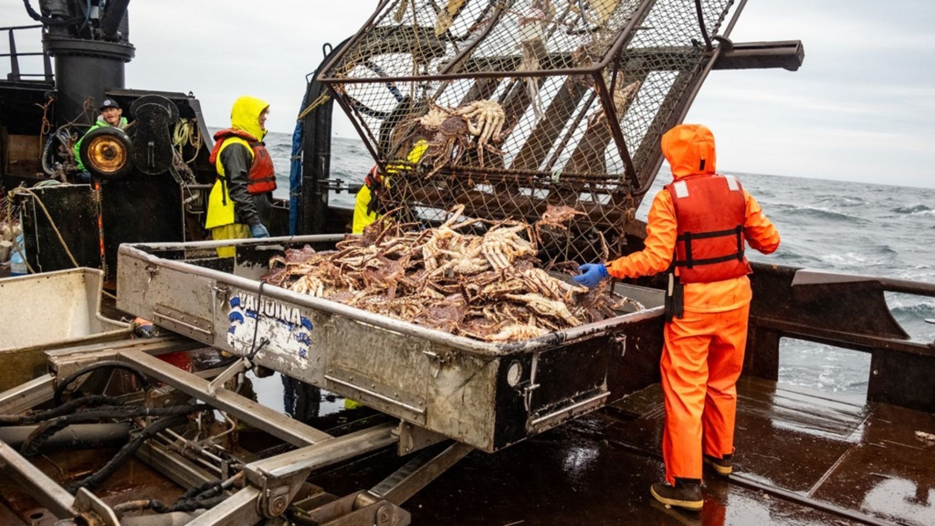 5. The Ship's Bell Tolls