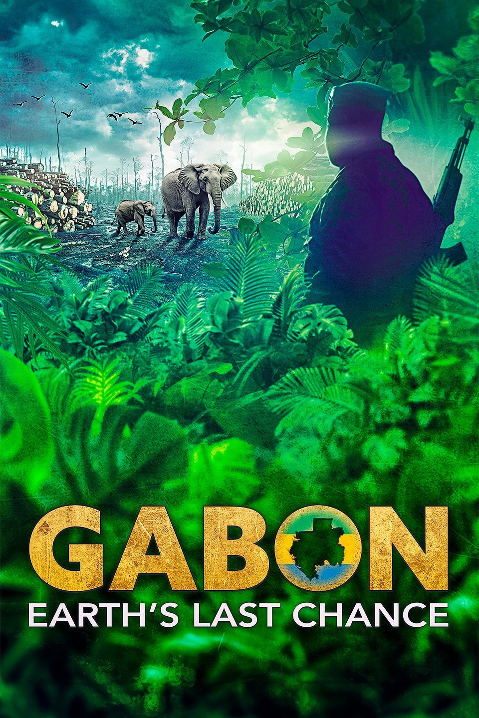 Gabon: Wildlife Warriors